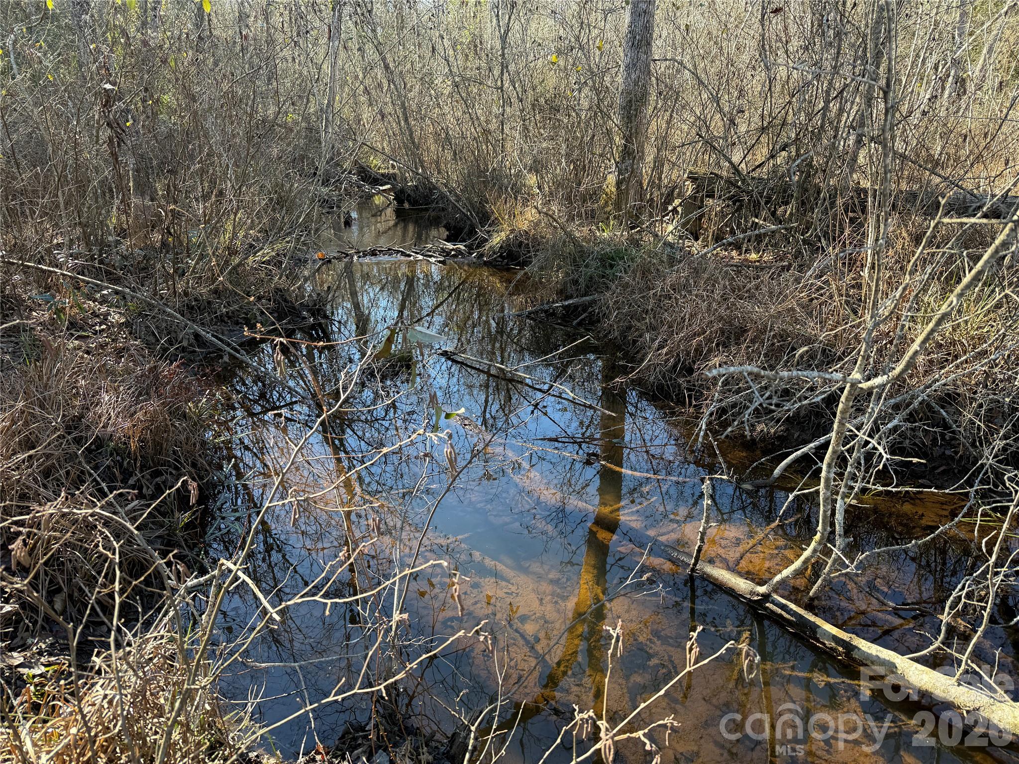 164 Haines Road — Jackson Springs