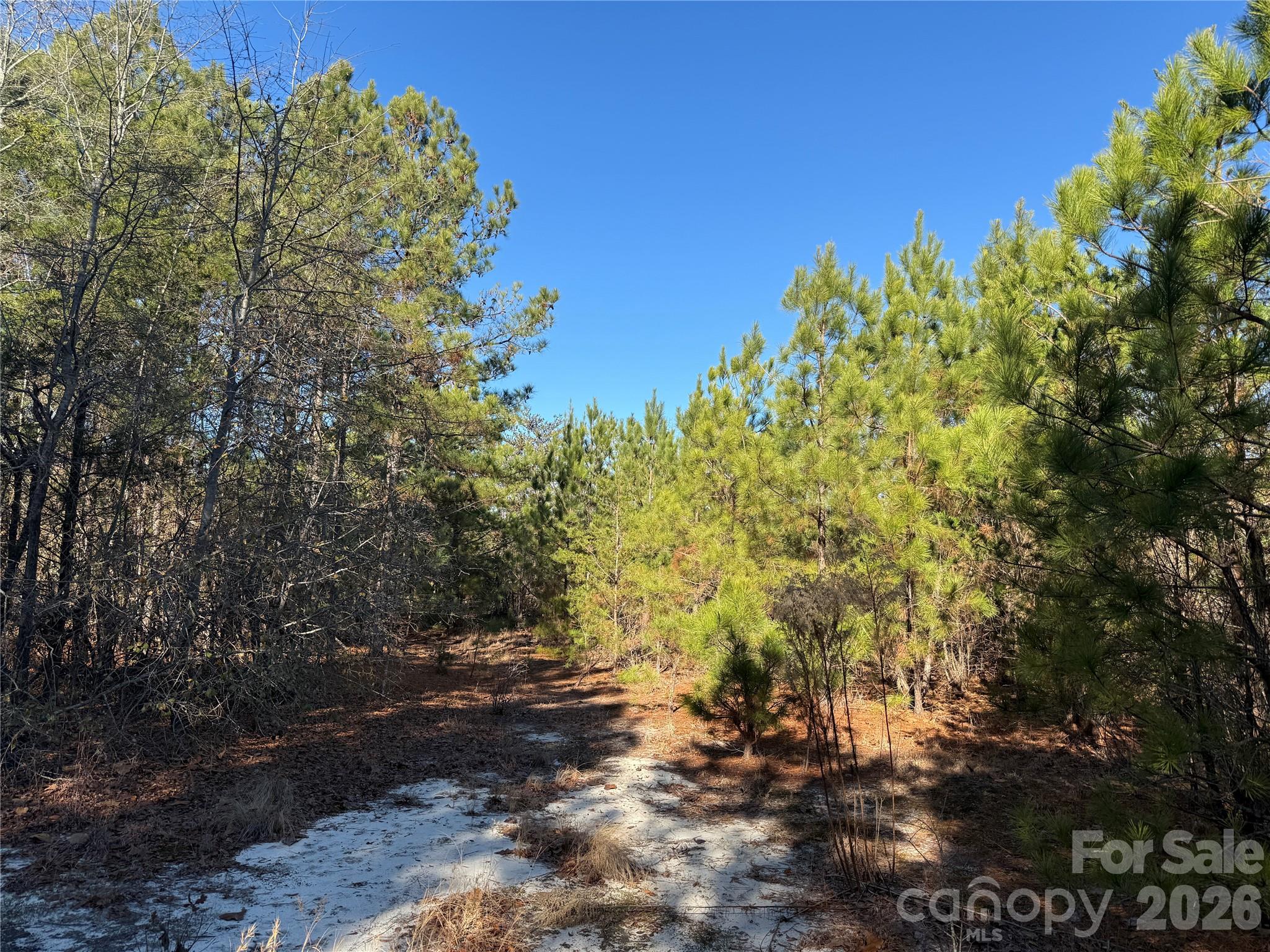 164 Haines Road — Jackson Springs