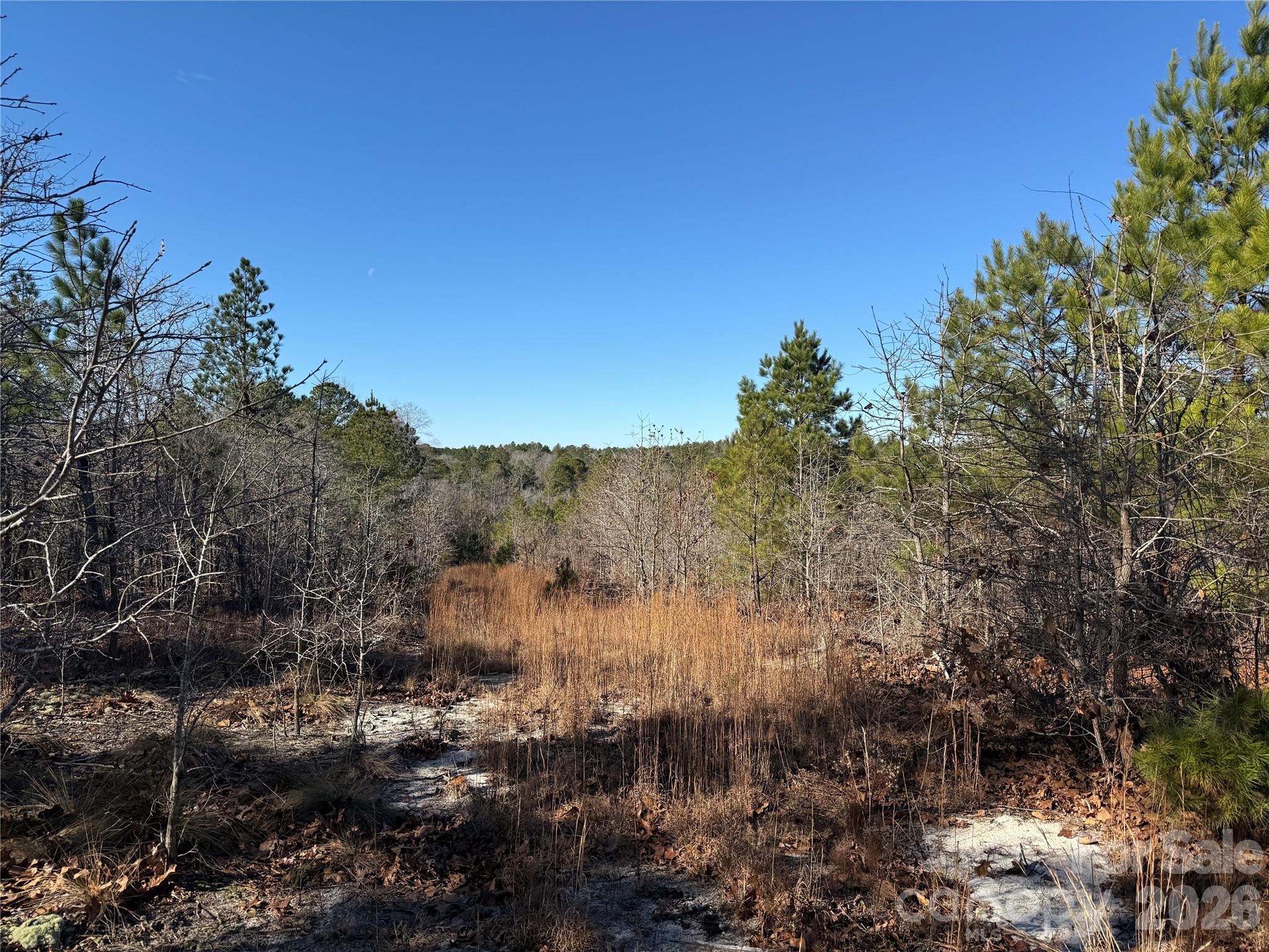 164 Haines Road — Jackson Springs