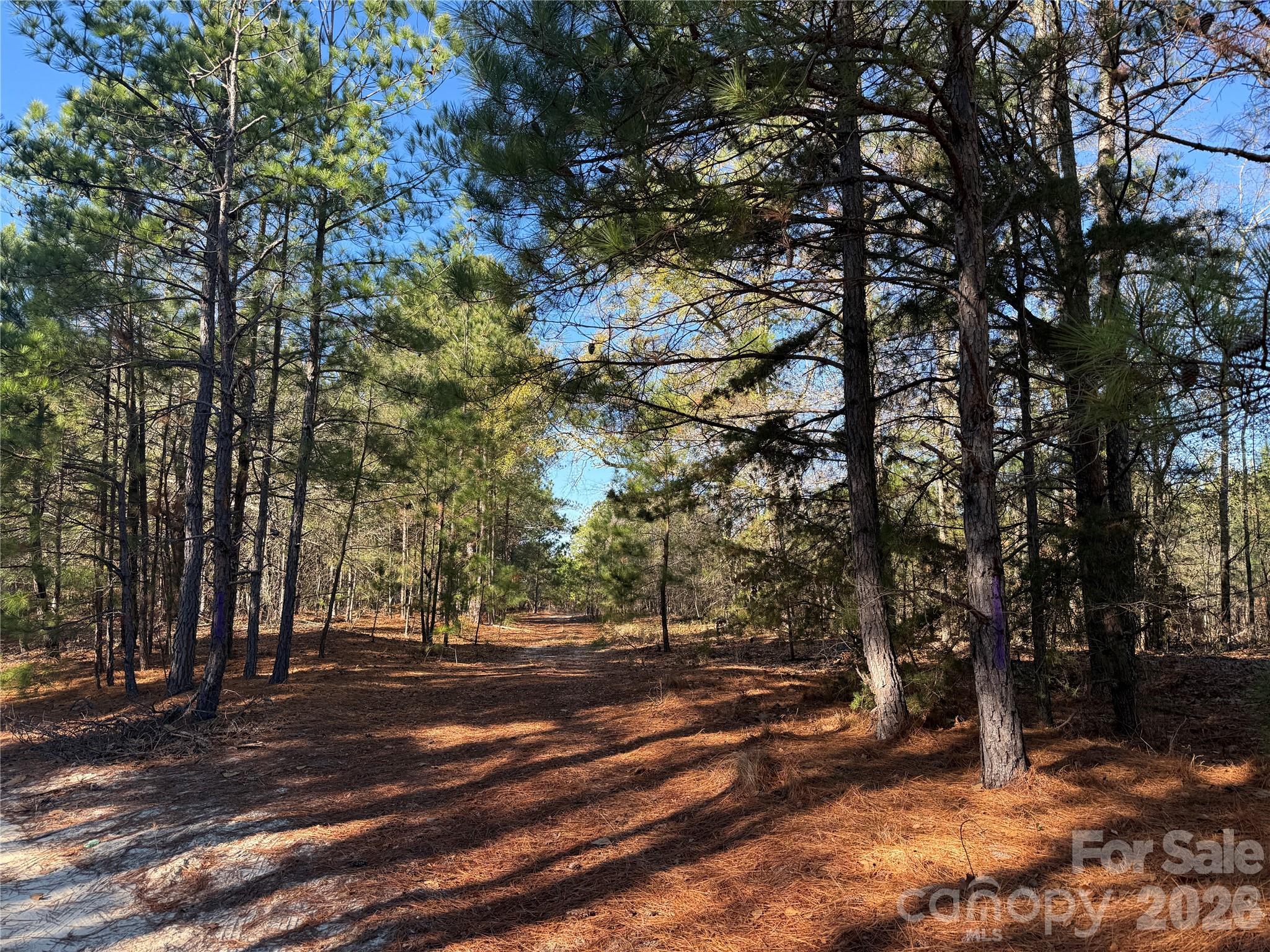 164 Haines Road — Jackson Springs