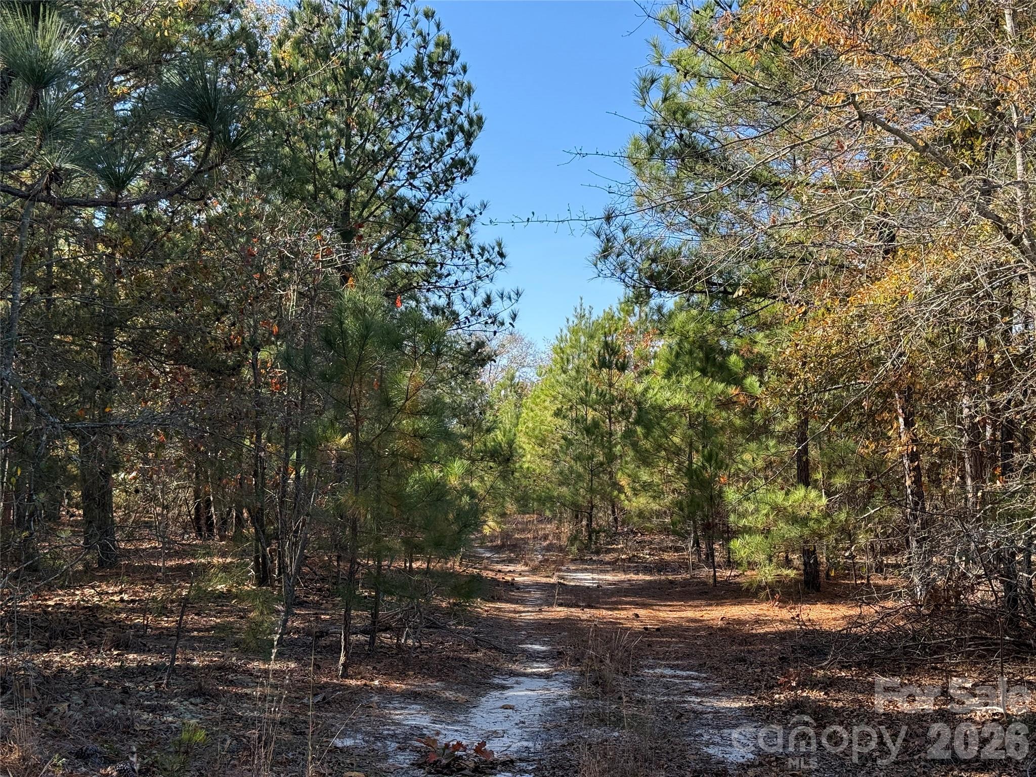 164 Haines Road — Jackson Springs