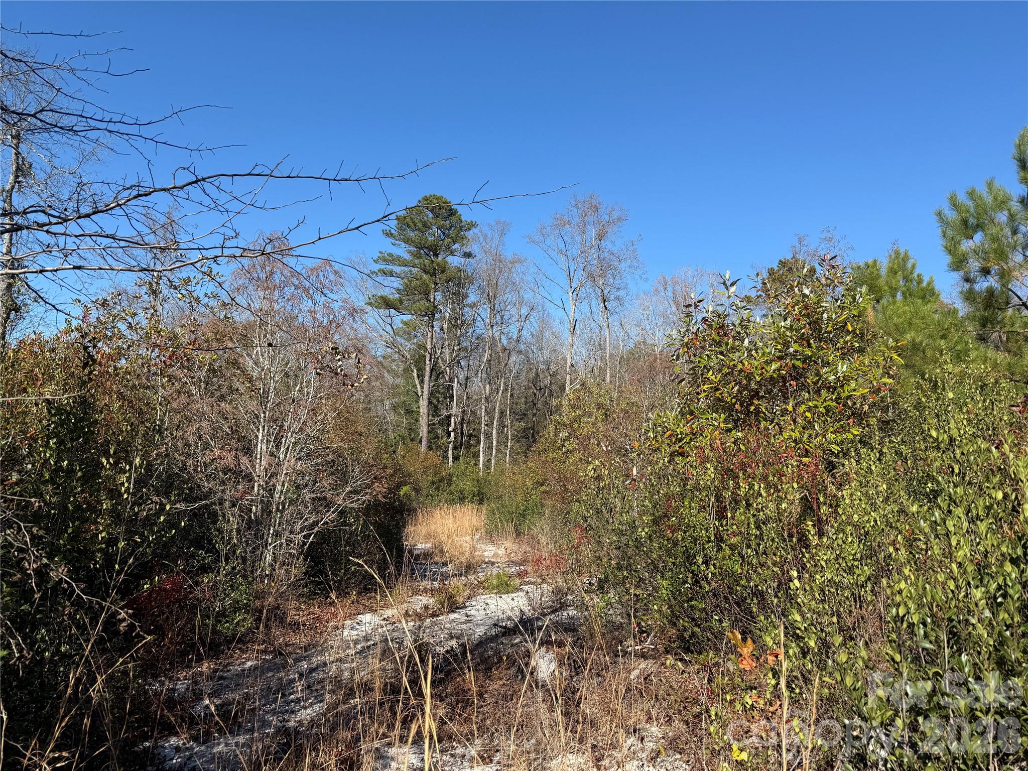 164 Haines Road — Jackson Springs
