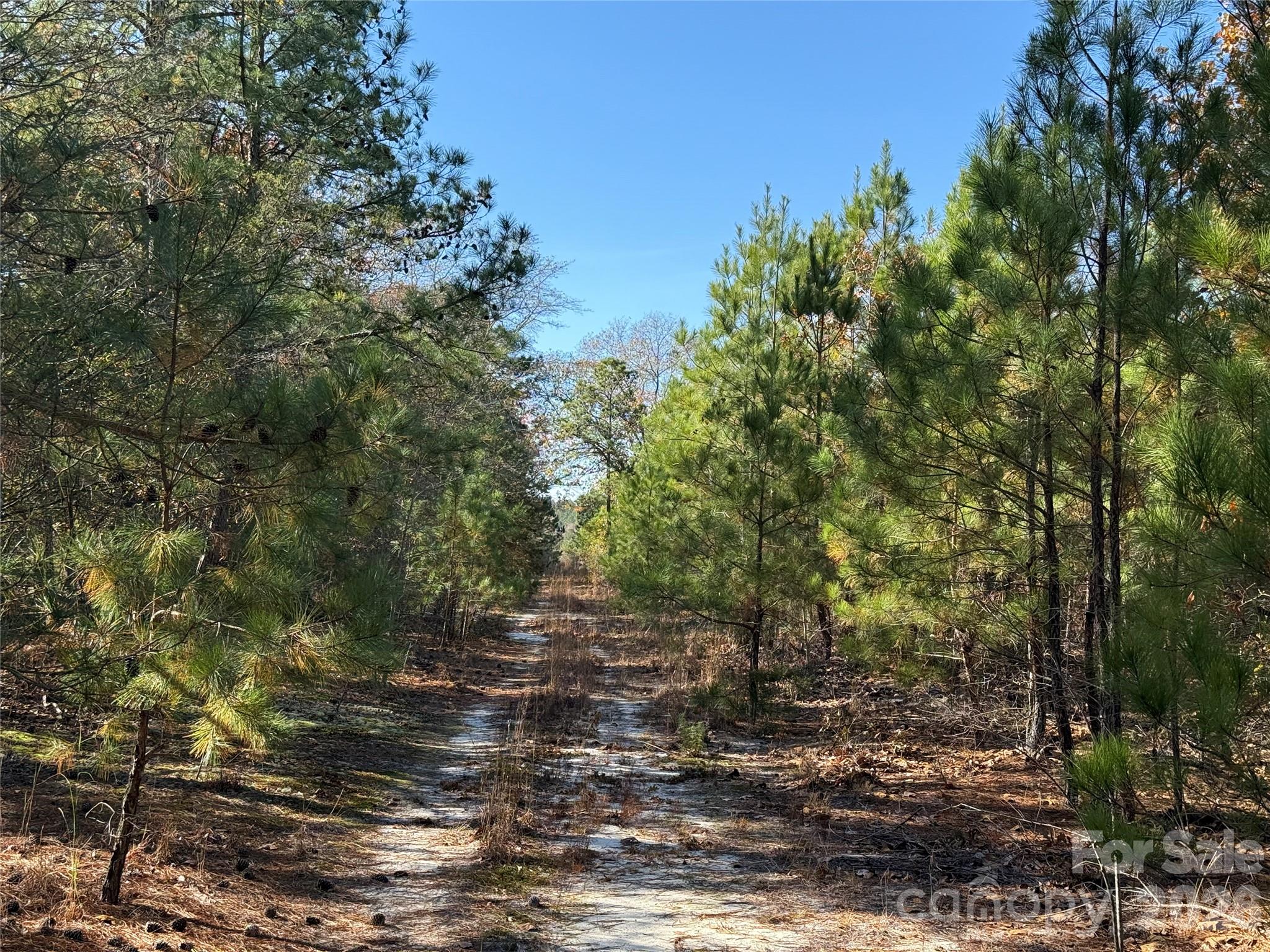 164 Haines Road — Jackson Springs