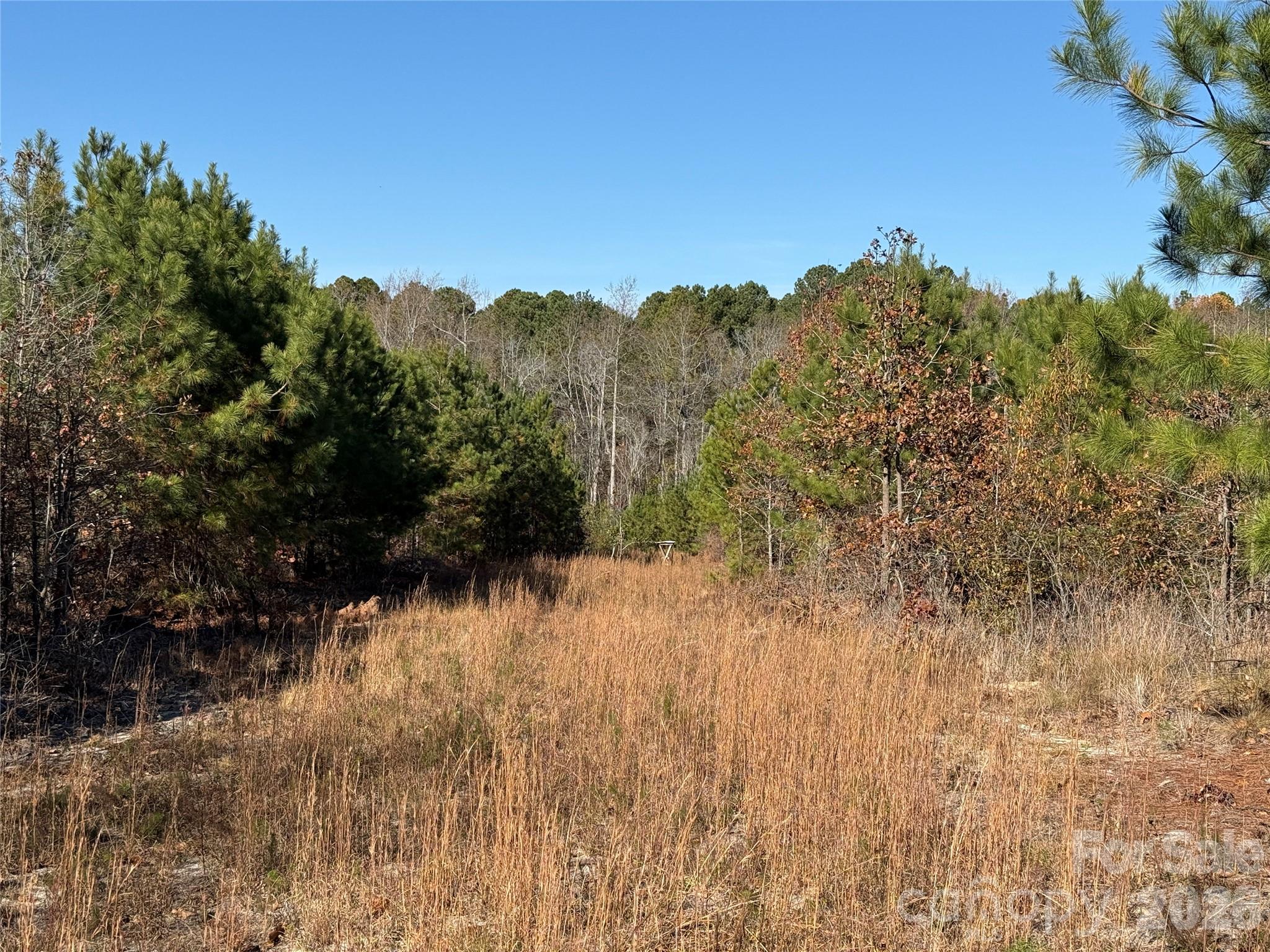 164 Haines Road — Jackson Springs