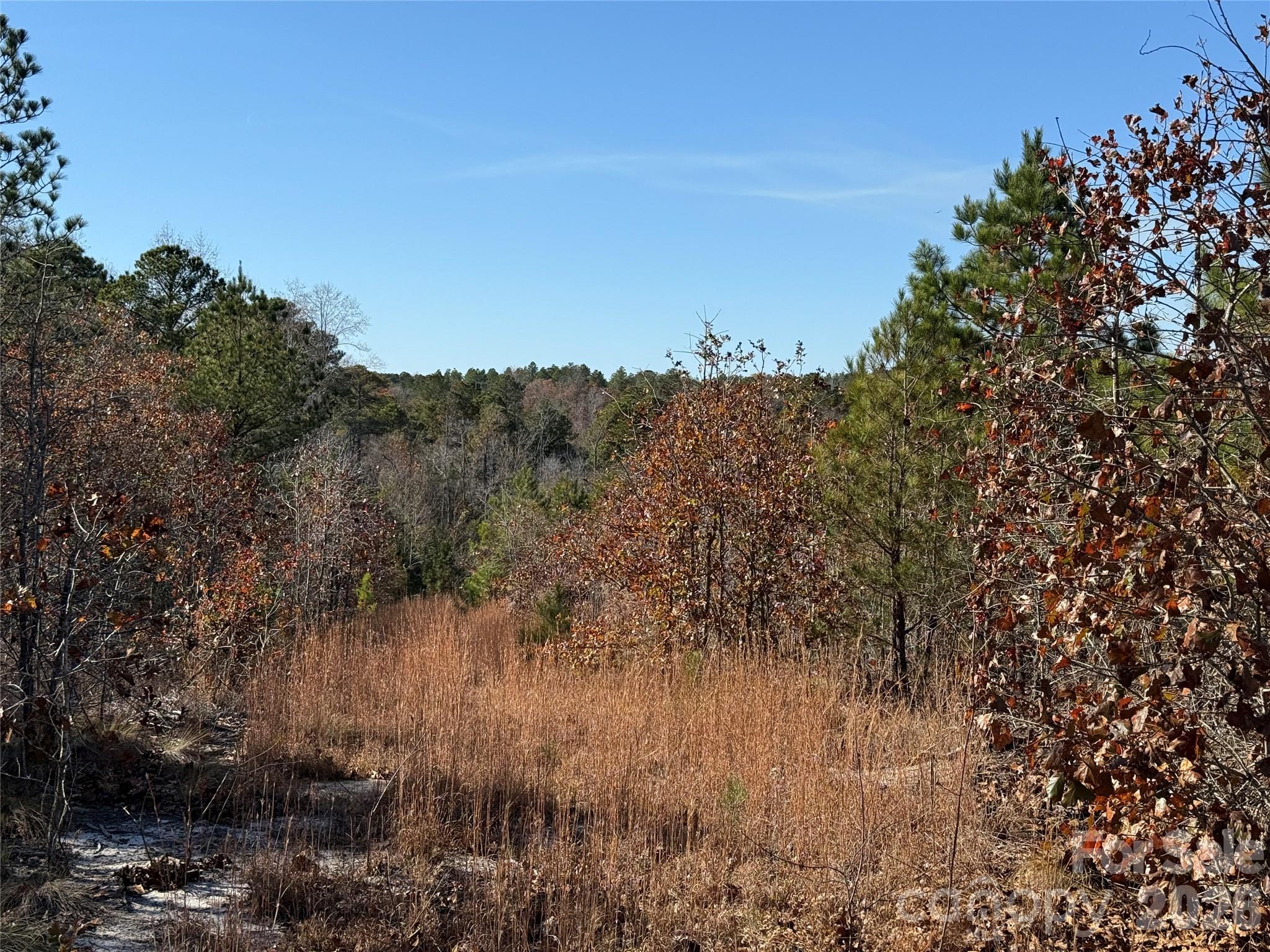 164 Haines Road — Jackson Springs