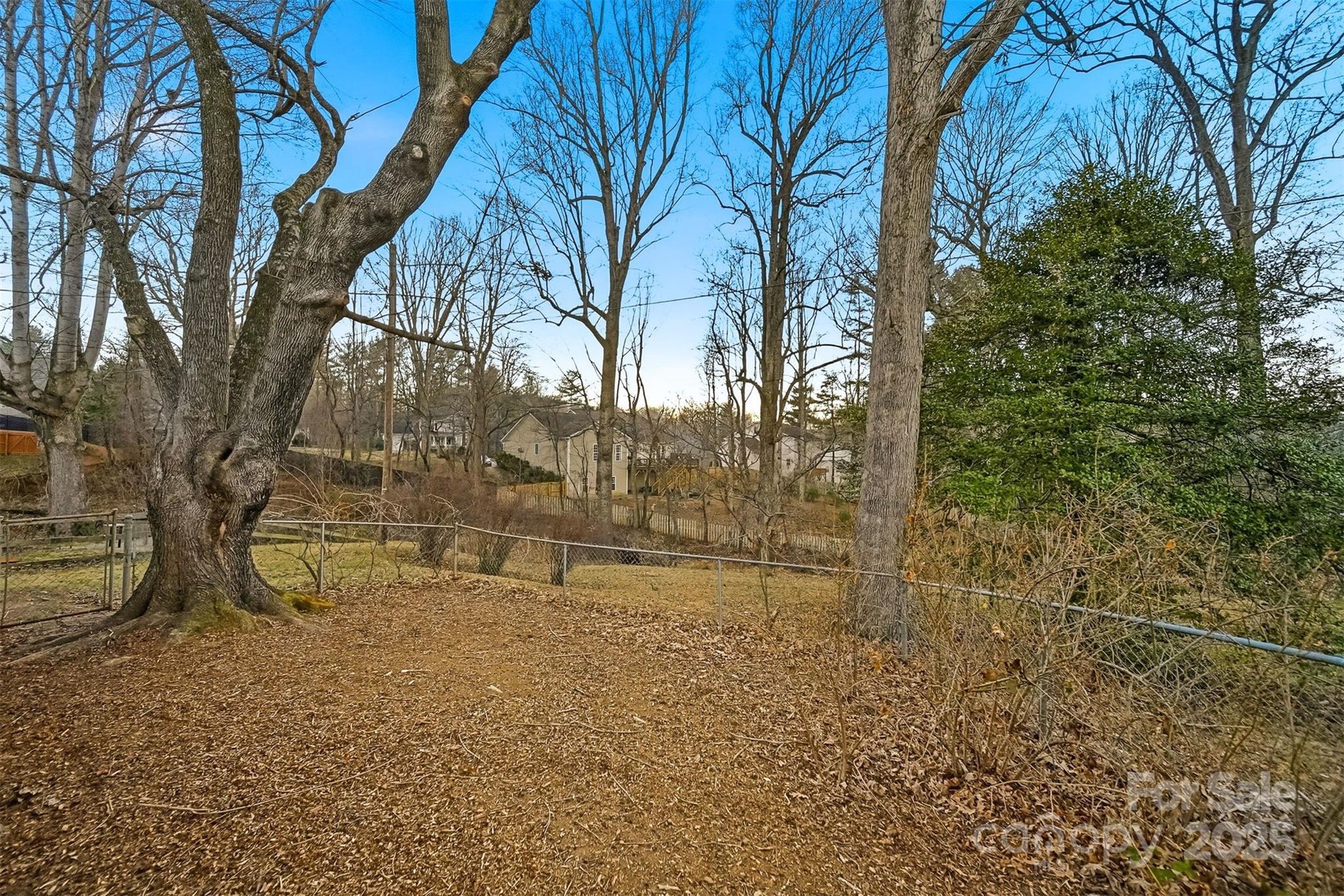 3 Enka Oak Street — Candler
