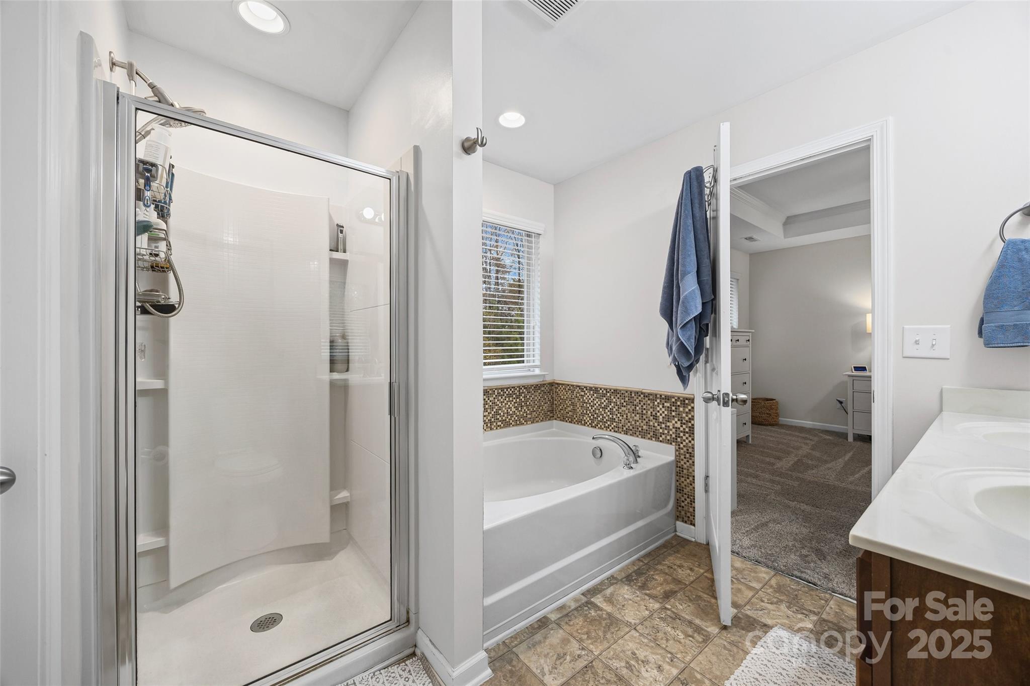 283 Anvil Draw Place — Rock Hill