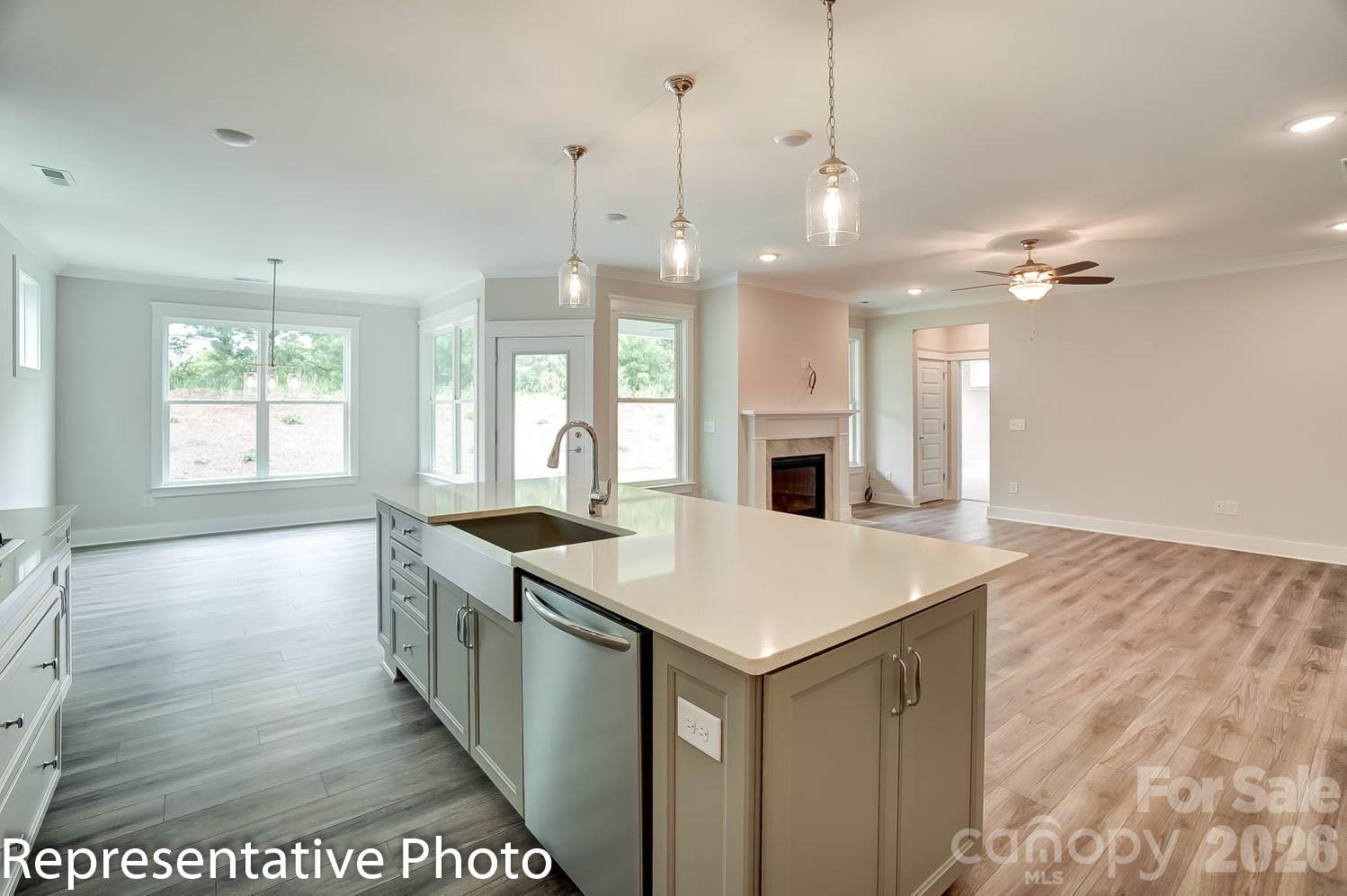 4010 Cedar Falls Drive — Waxhaw