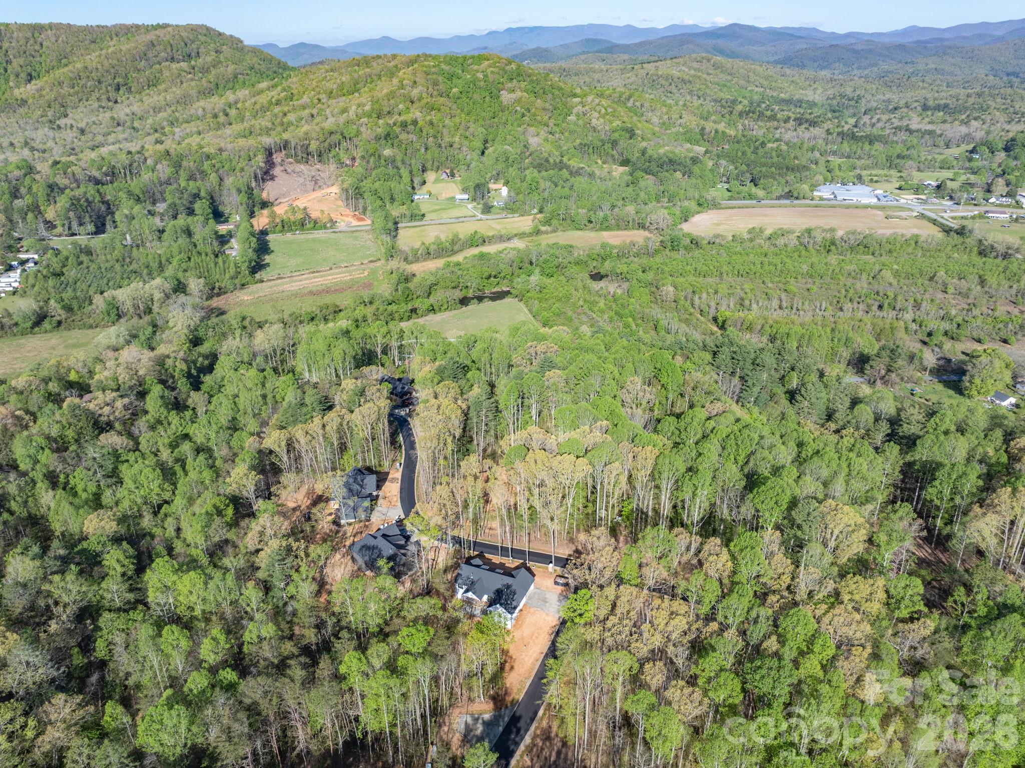 20 Nature Walk Lane — Hendersonville