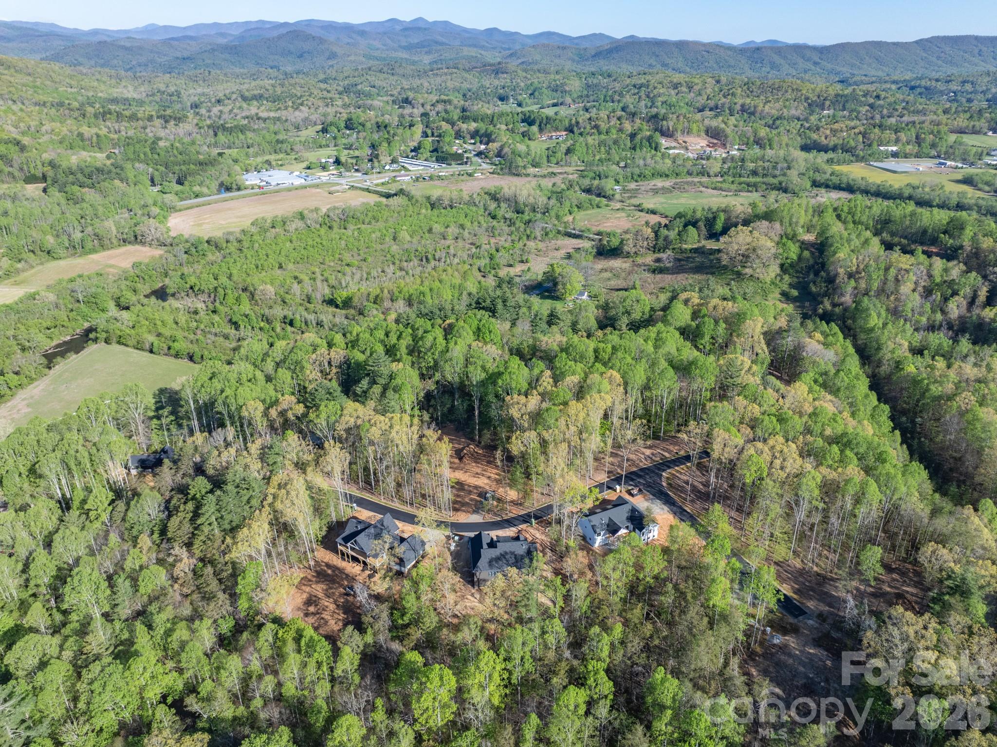 20 Nature Walk Lane — Hendersonville