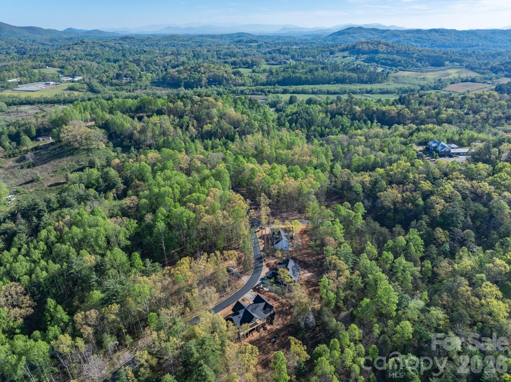 20 Nature Walk Lane — Hendersonville
