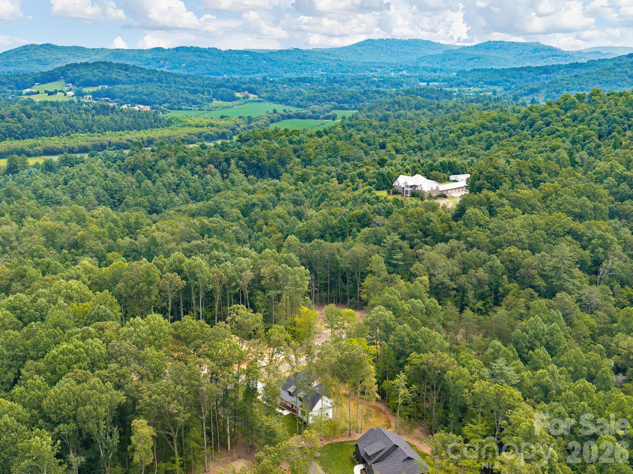 20 Nature Walk Lane — Hendersonville