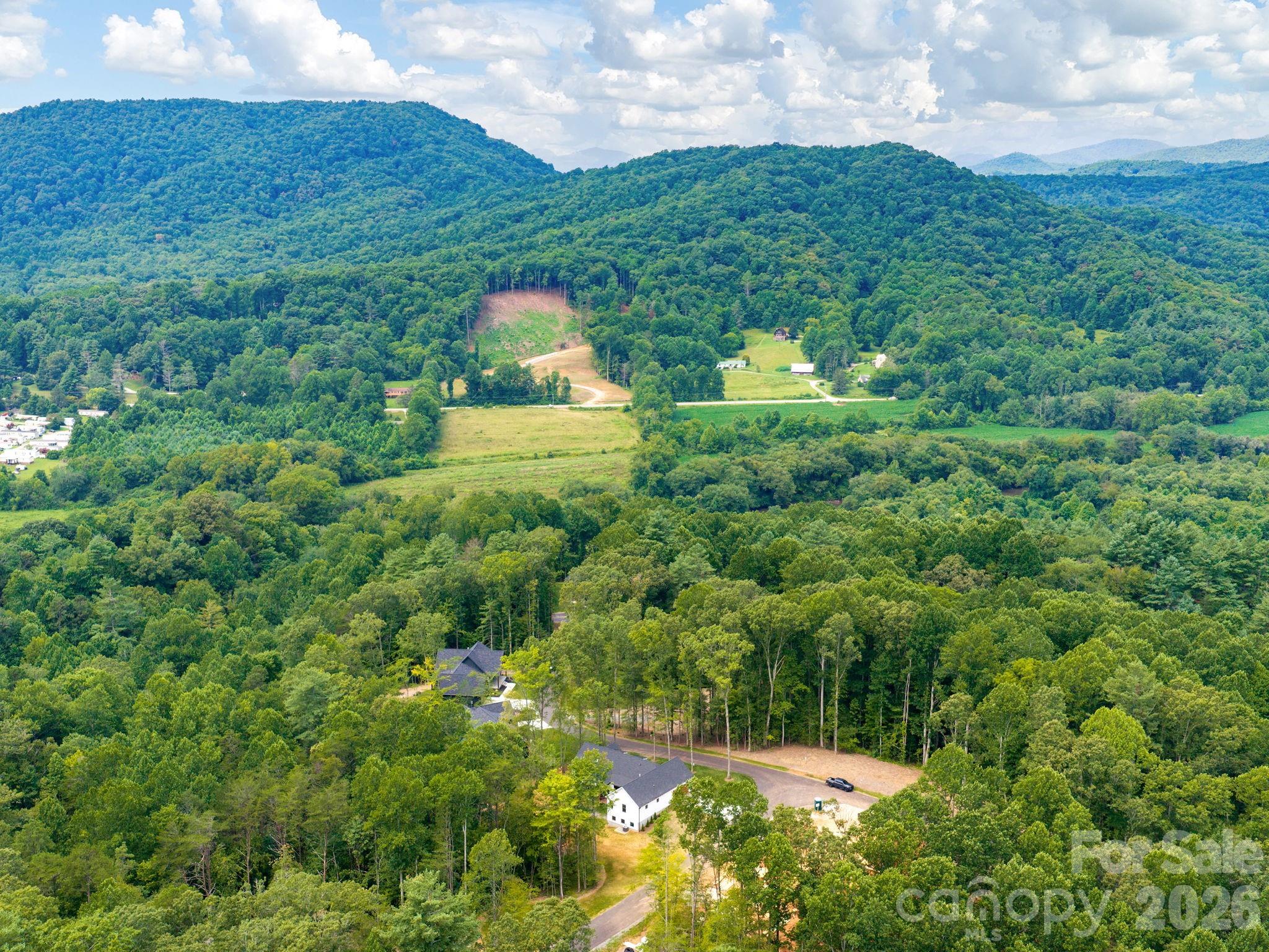 20 Nature Walk Lane — Hendersonville