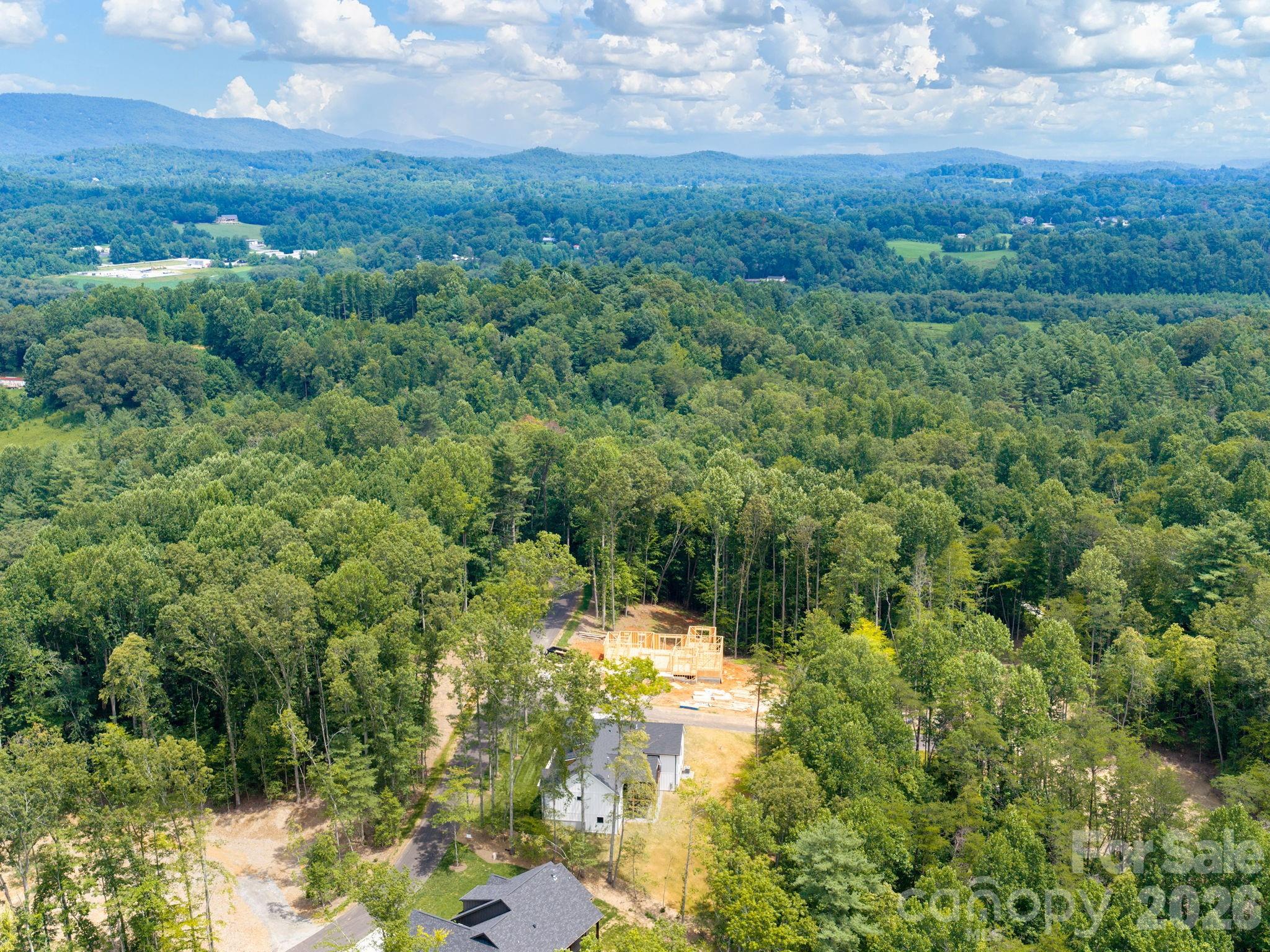 20 Nature Walk Lane — Hendersonville