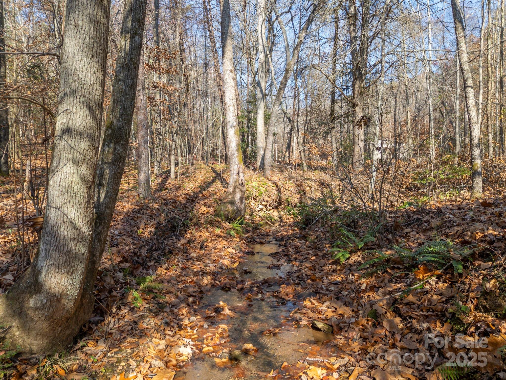 152 Golden Creek Trail — Union Mills