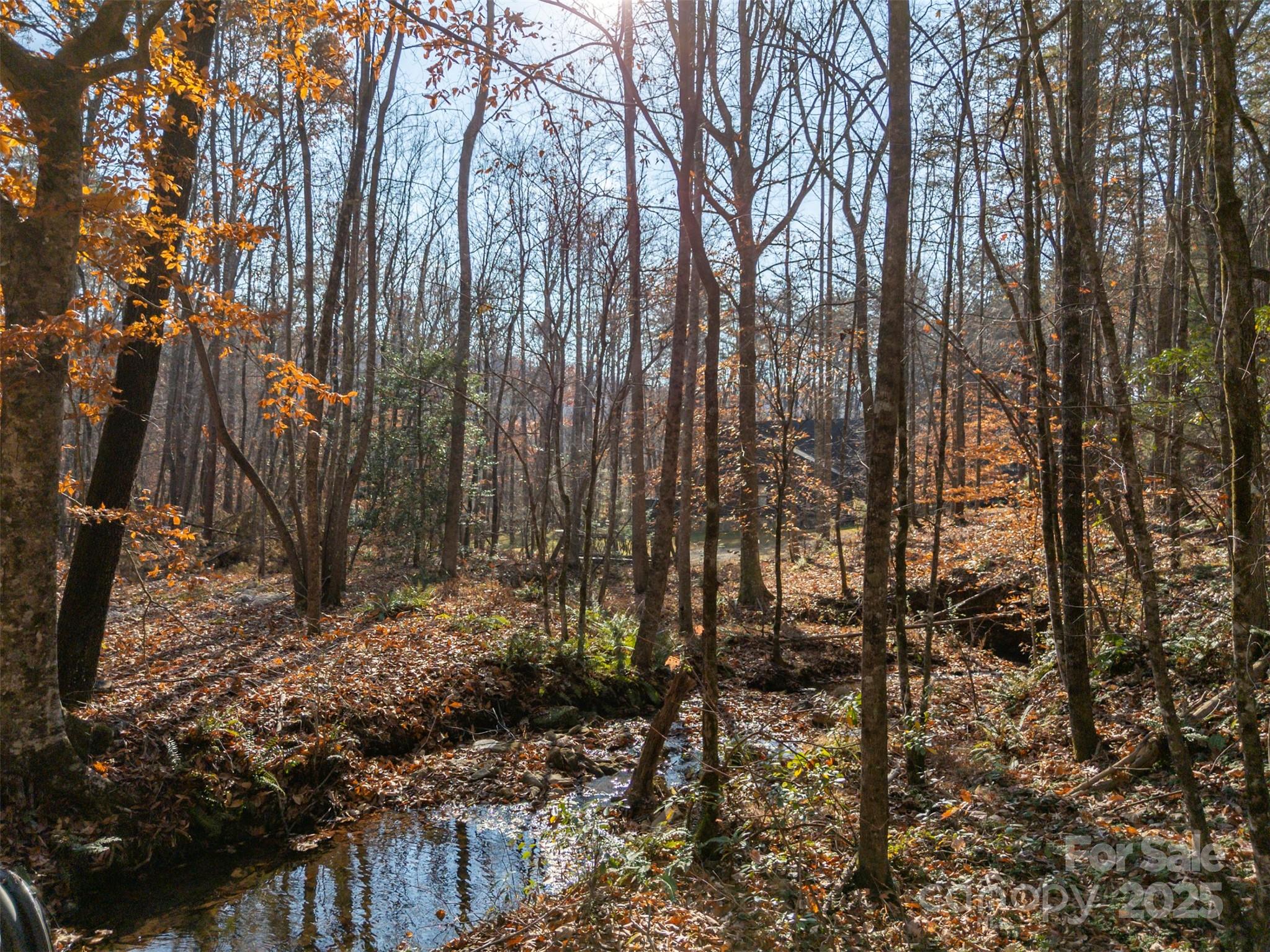 152 Golden Creek Trail — Union Mills