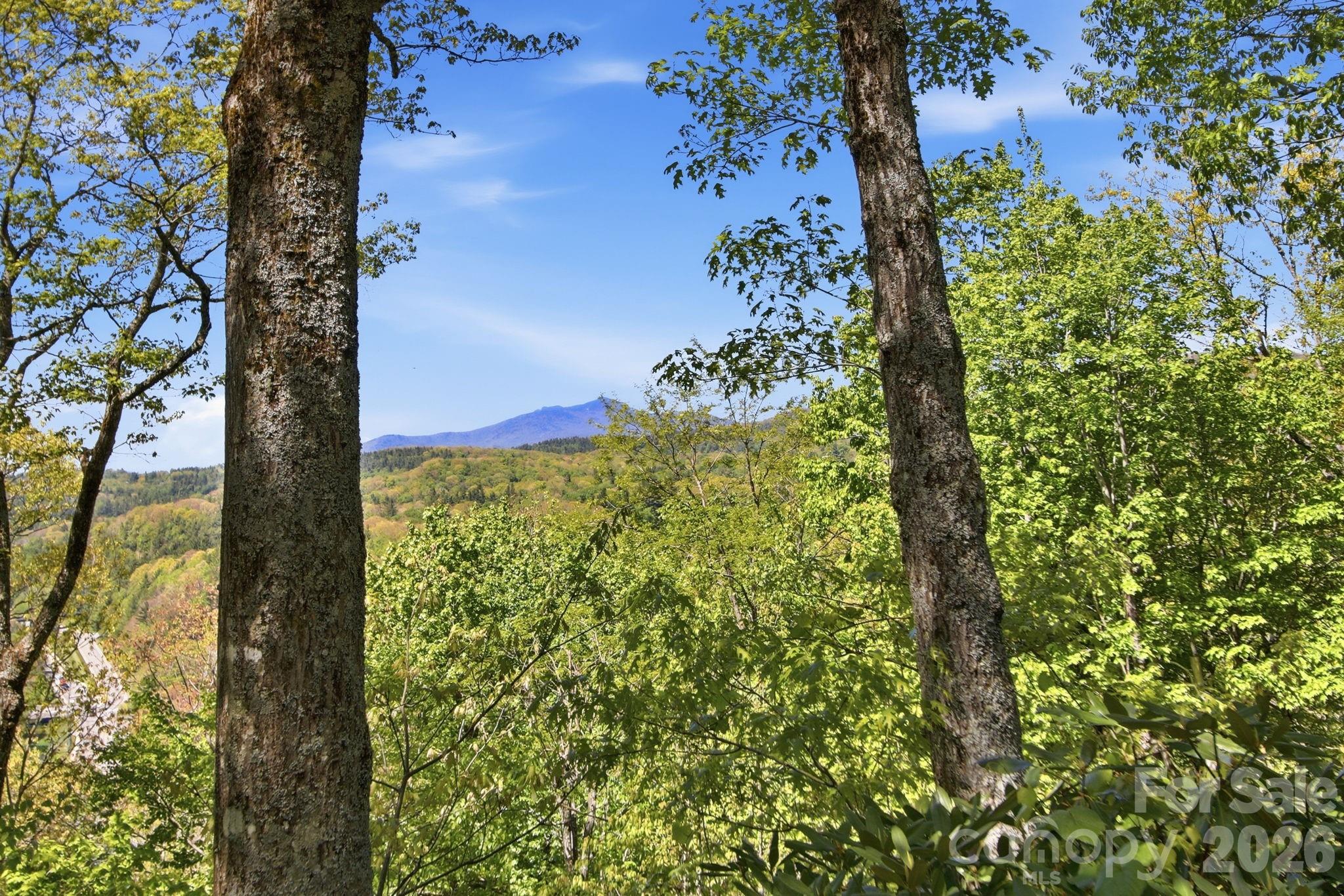 265 Dameron Drive — Blowing Rock