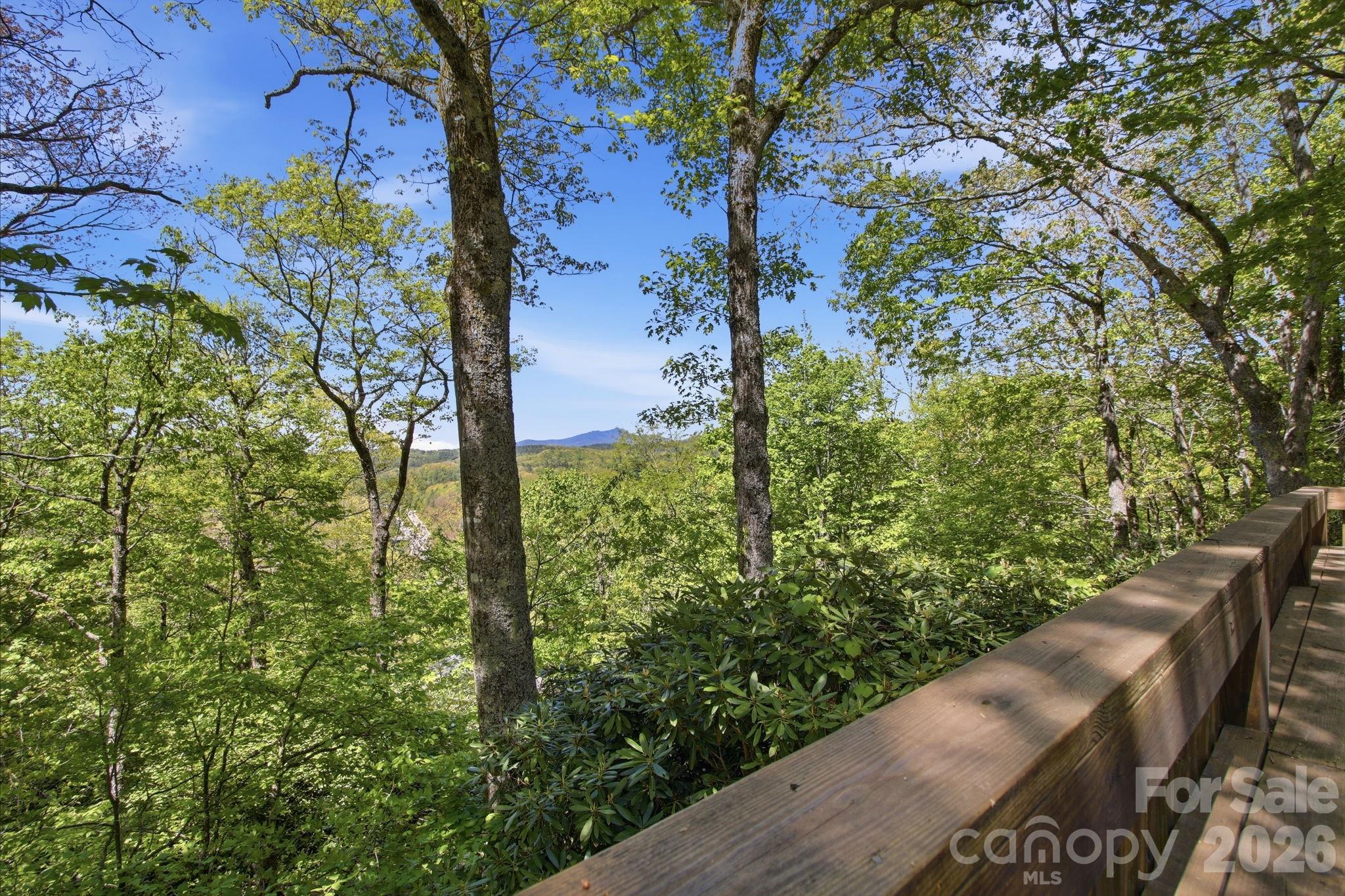 265 Dameron Drive — Blowing Rock