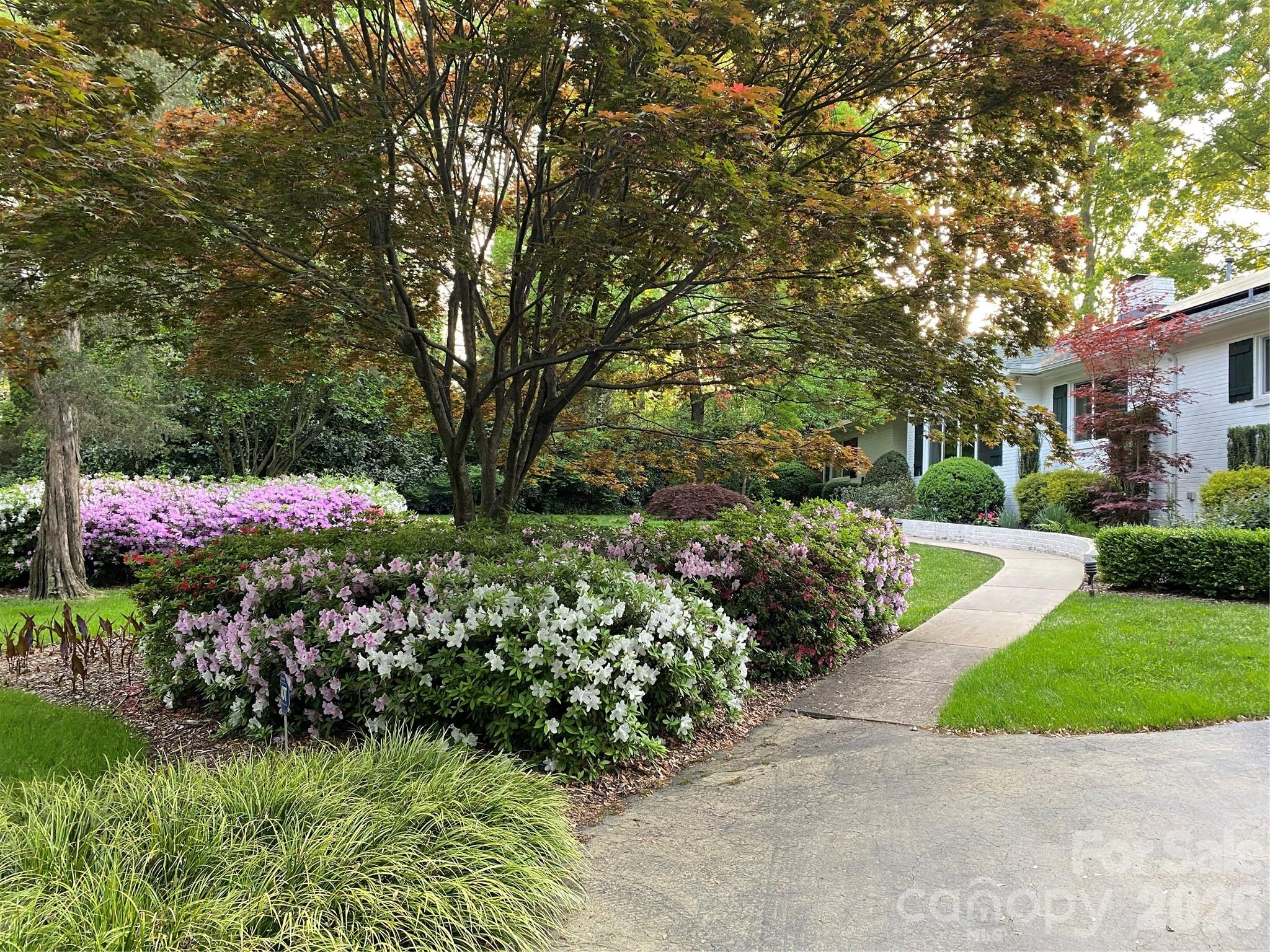 1330 Cedar Lane — Charlotte