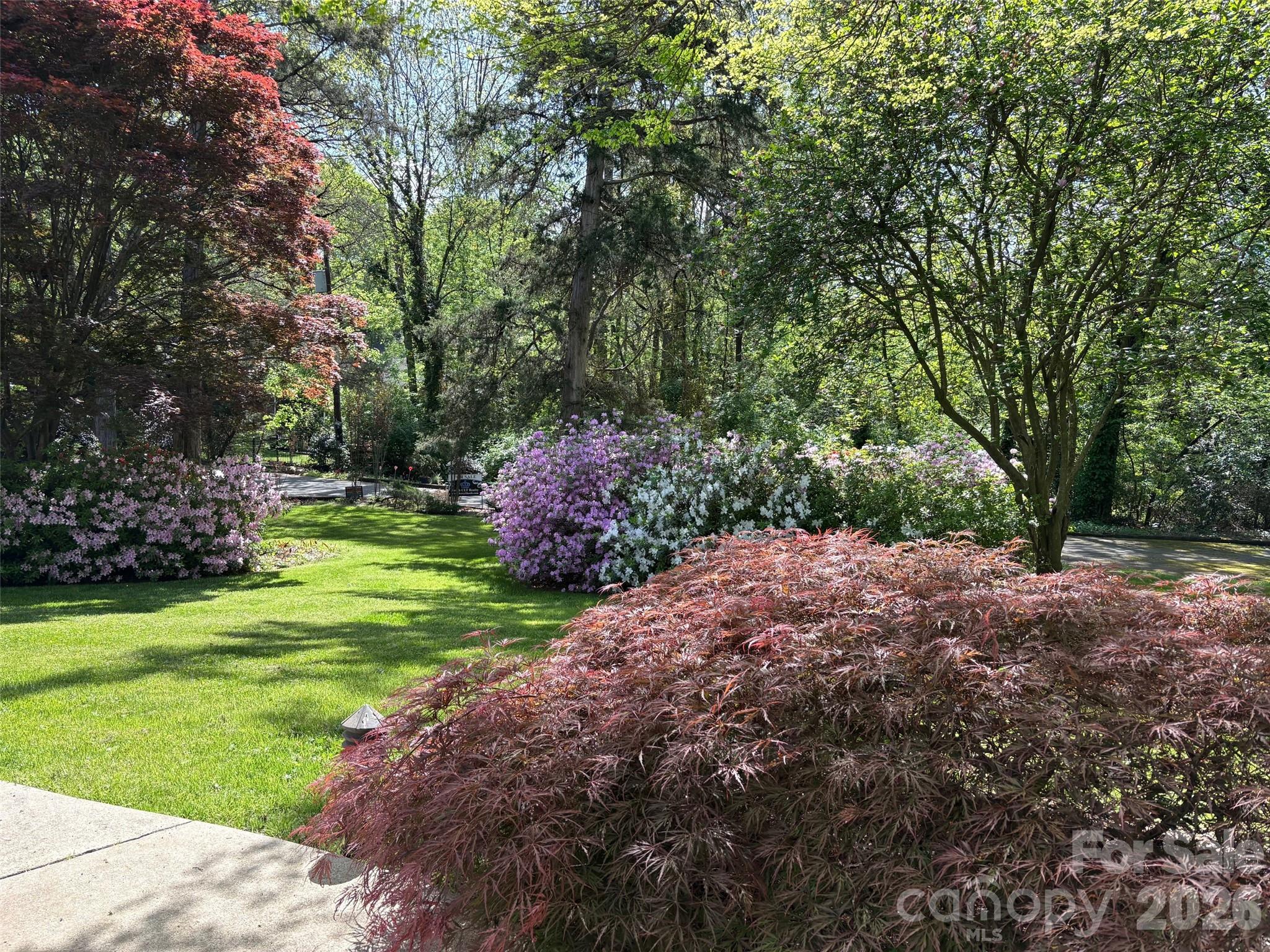 1330 Cedar Lane — Charlotte