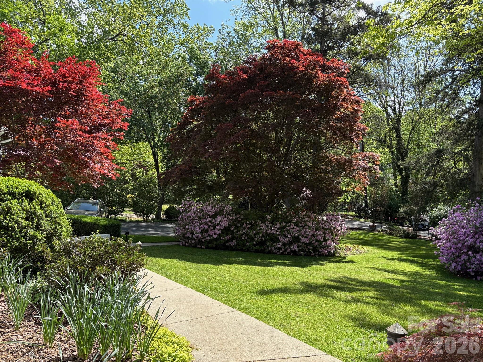 1330 Cedar Lane — Charlotte