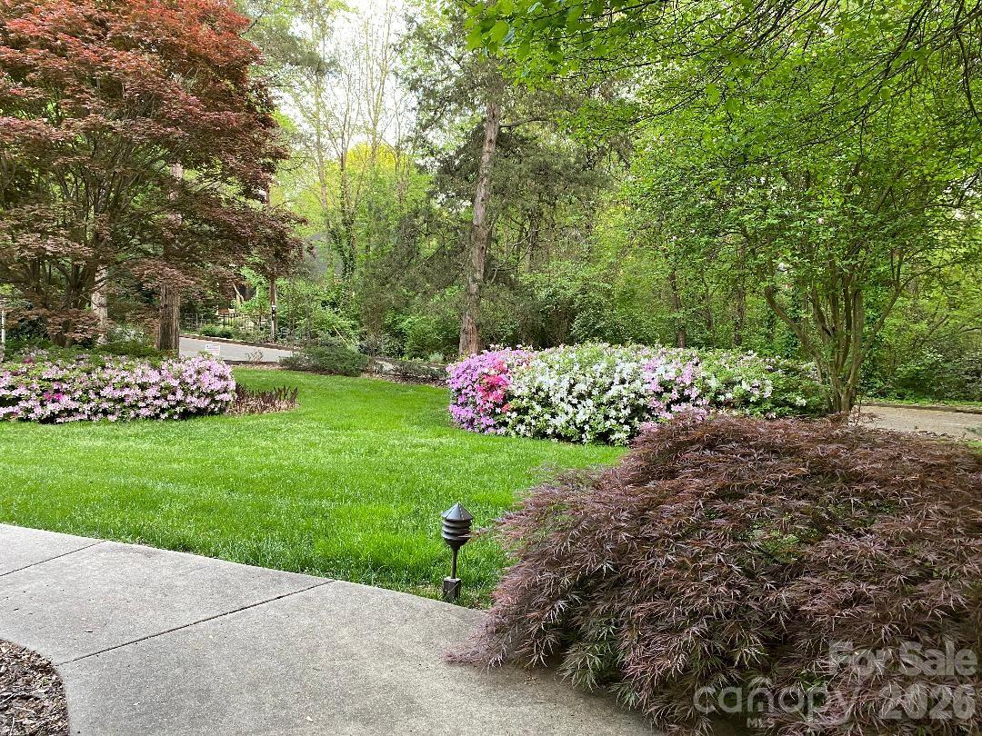 1330 Cedar Lane — Charlotte