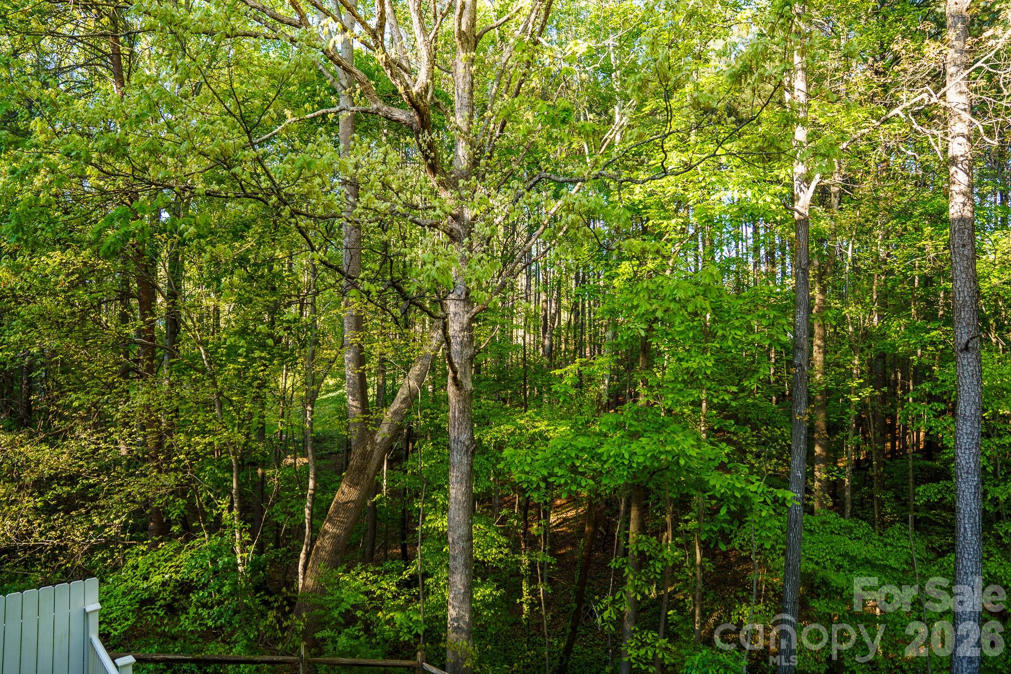 214 Harbor Landing Drive — Mooresville