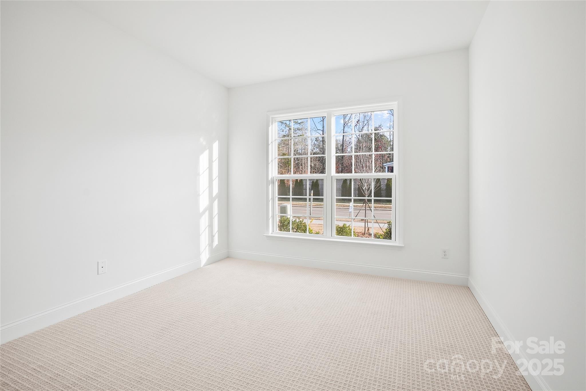 1007 High Bluff Point SE — Waxhaw