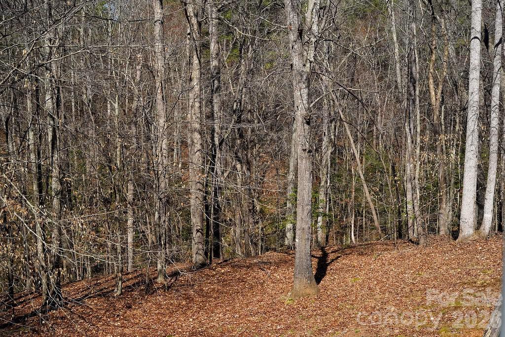 7972 Summit Ridge Drive — Catawba