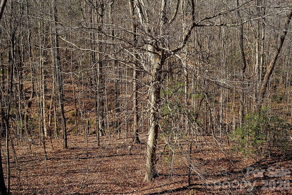 7972 Summit Ridge Drive — Catawba