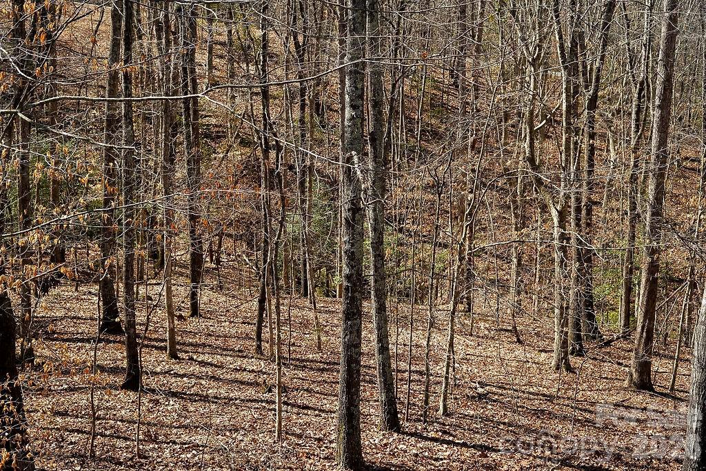 7972 Summit Ridge Drive — Catawba