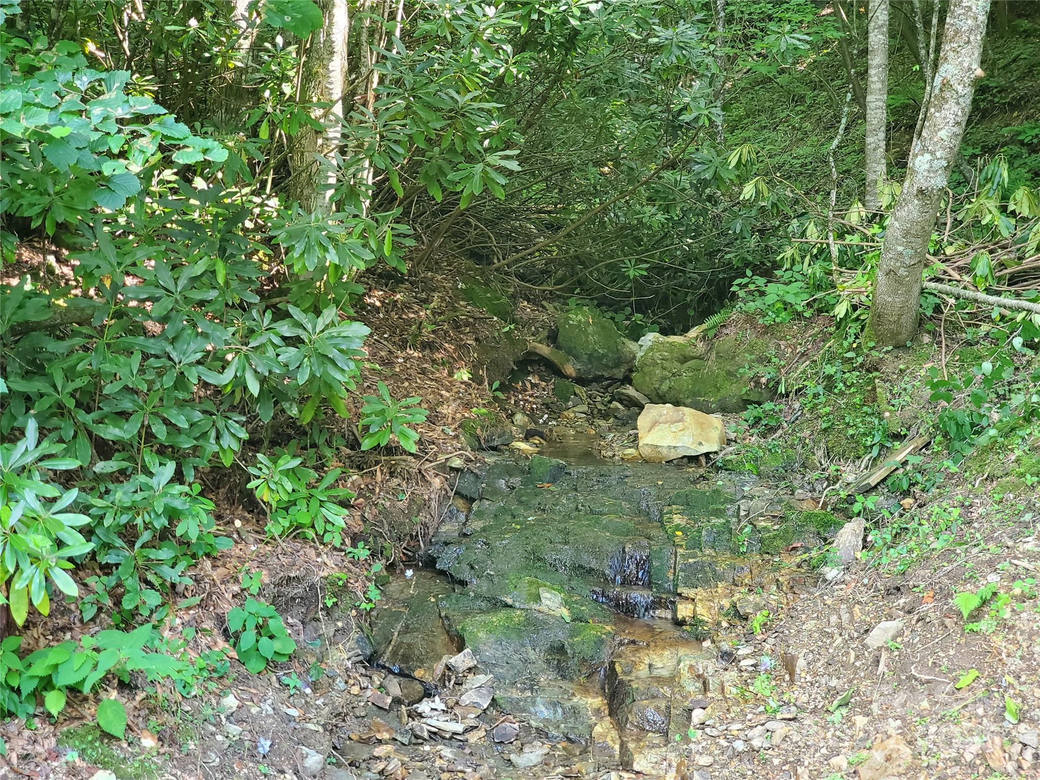 5023 Elk Park Highway — Elk Park