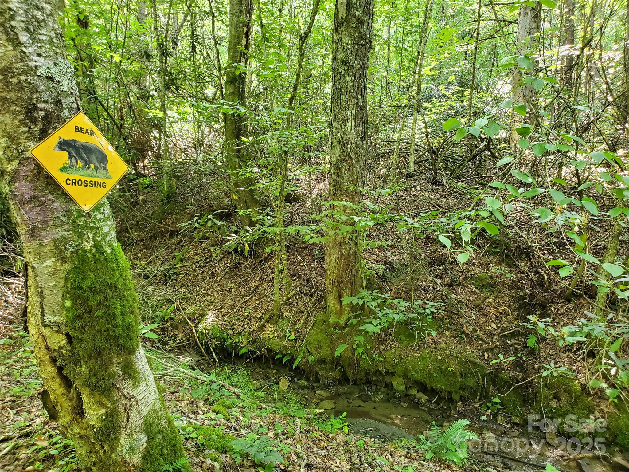 5023 Elk Park Highway — Elk Park