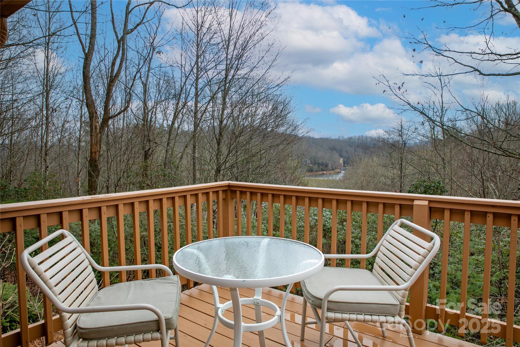 42 Tsitsi Court — Brevard
