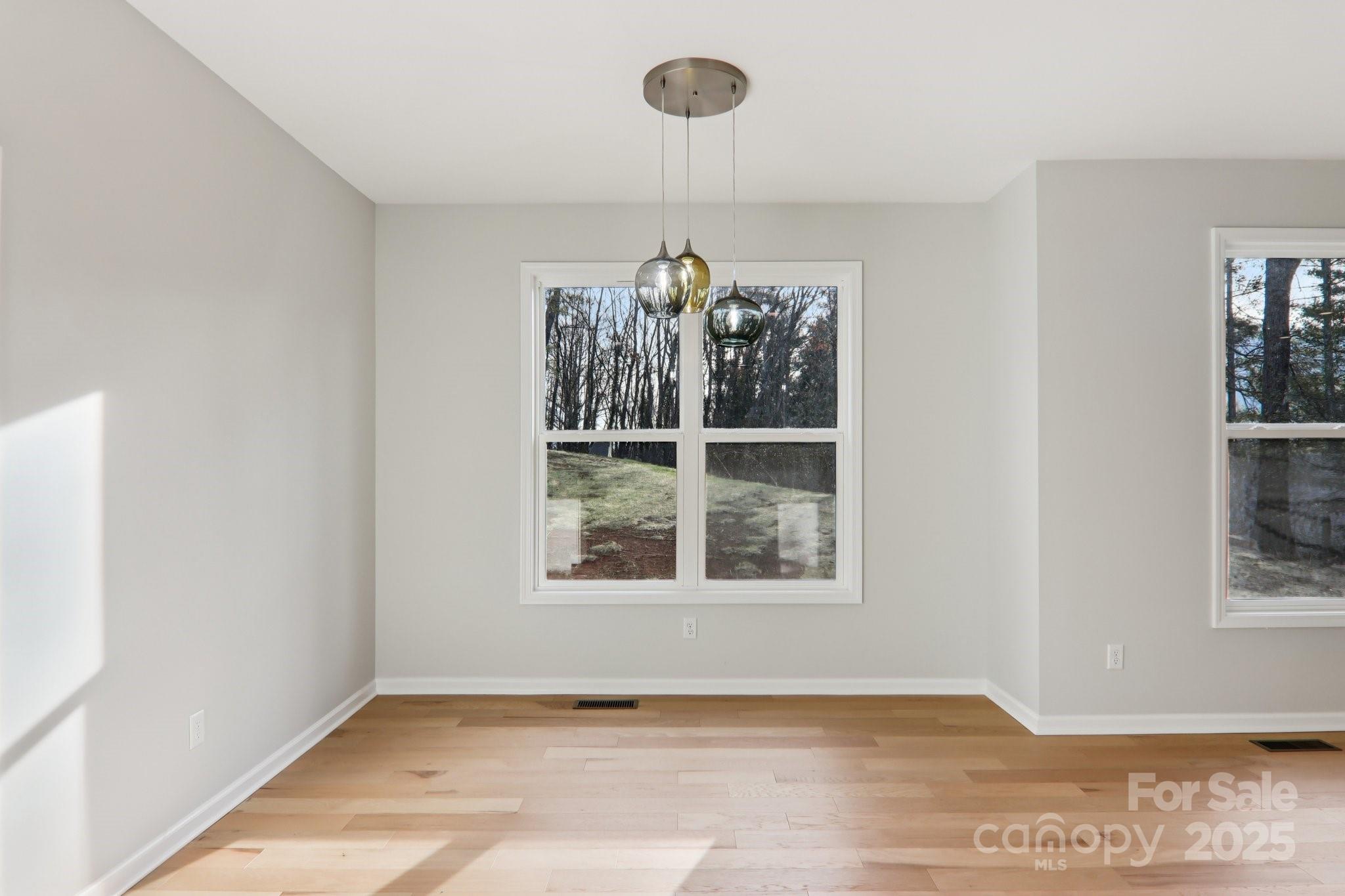 119 Lincoln Ridge Drive #1 — Candler