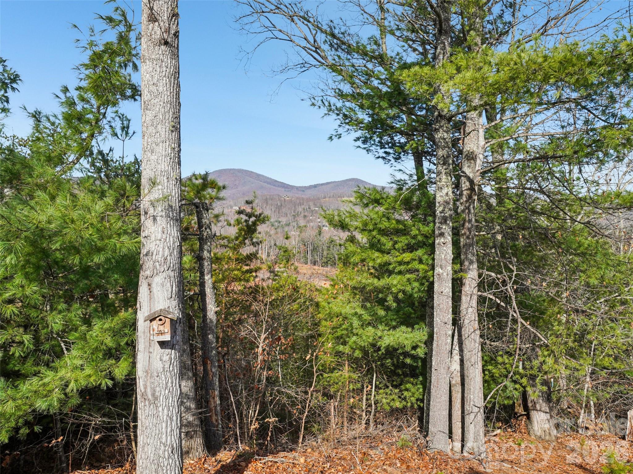 959 Silverglen Way — Hendersonville