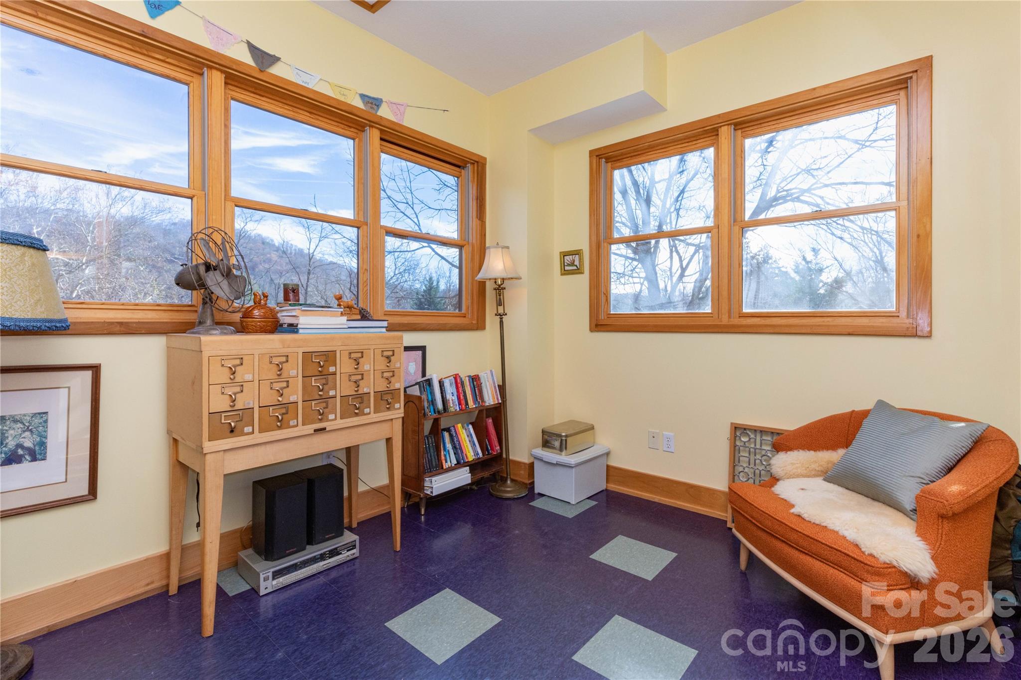 297 Hillside Street — Asheville