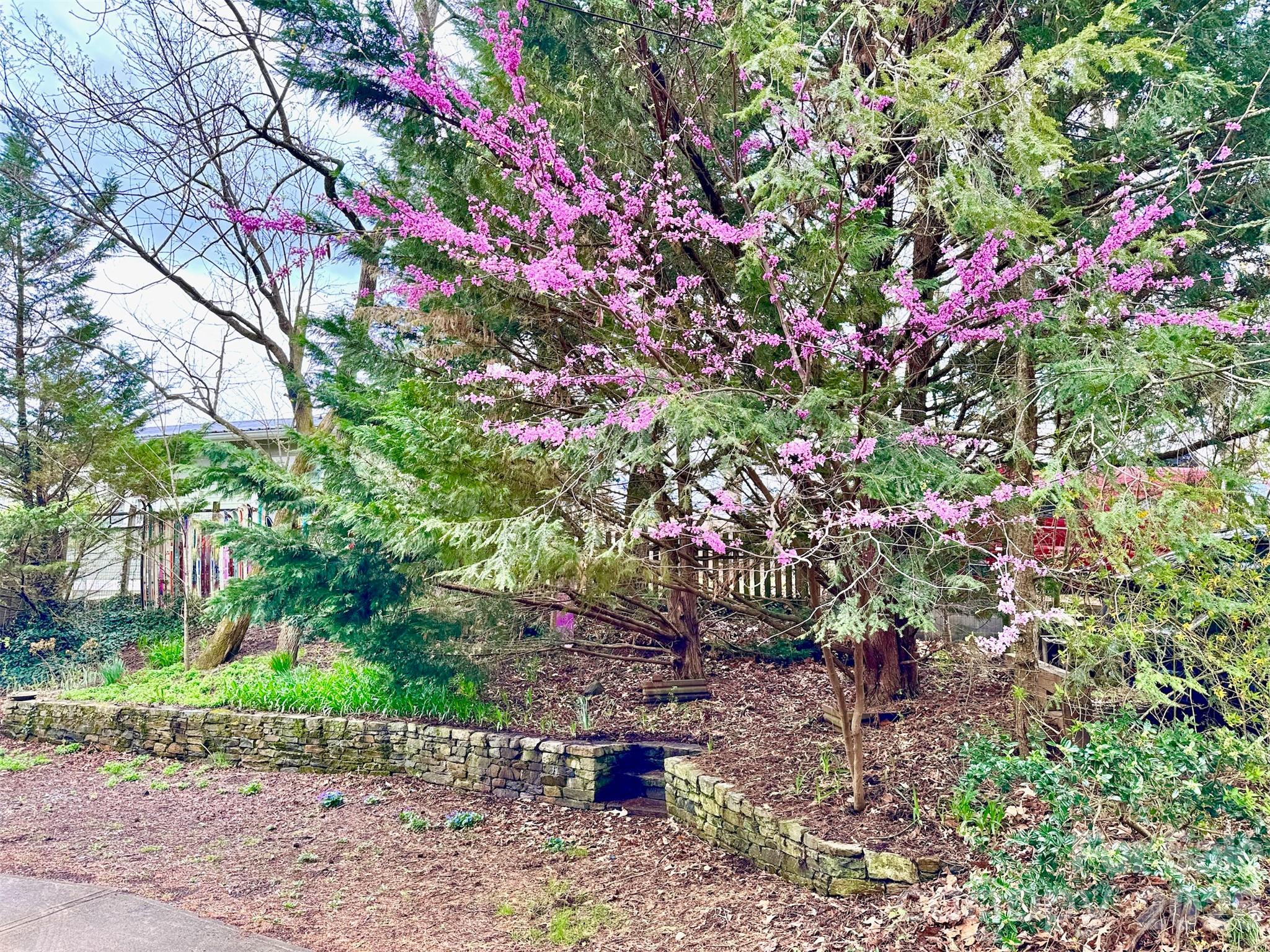297 Hillside Street — Asheville