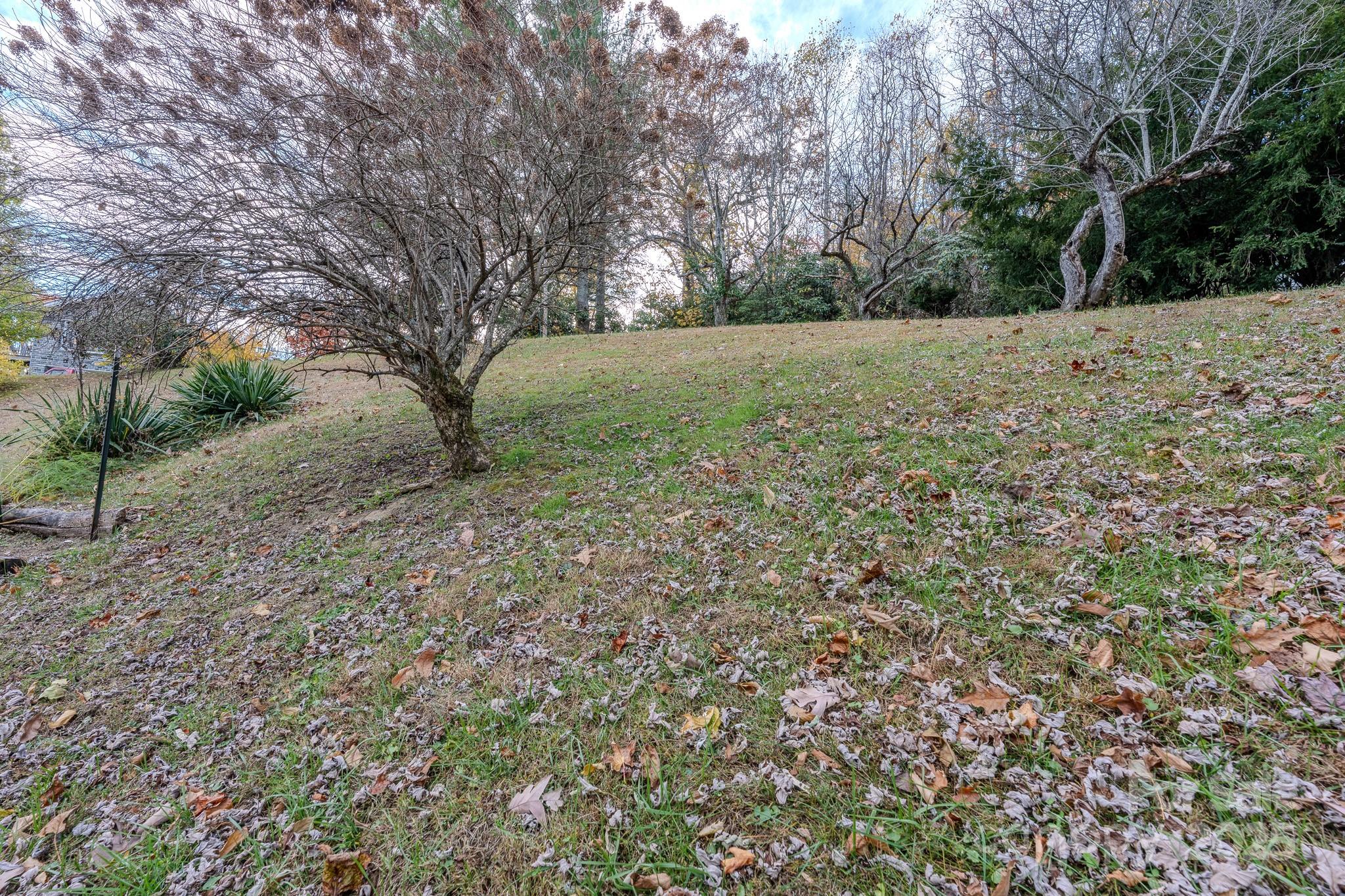 127 Reid Queen Drive — Little Switzerland