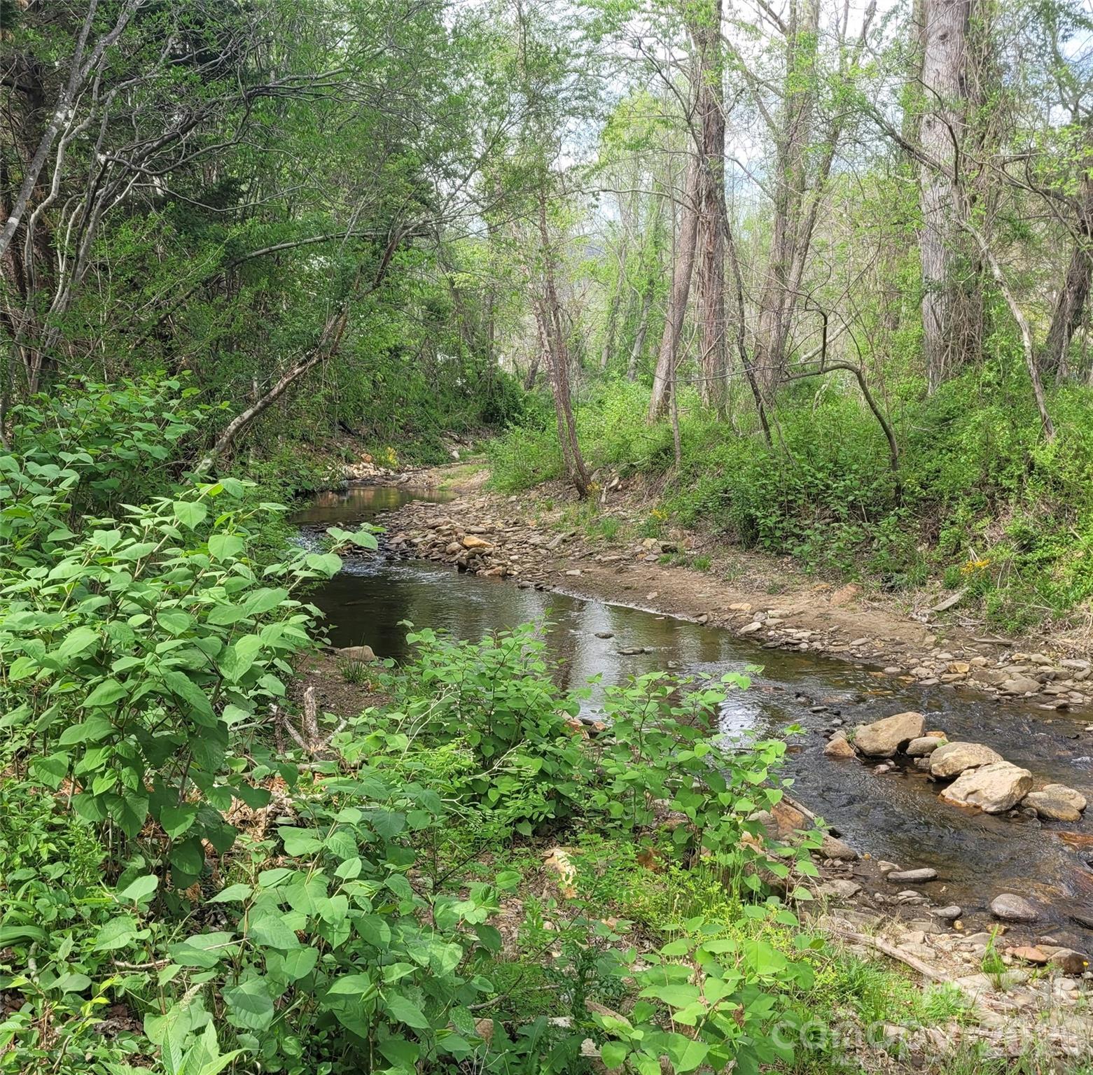 35 Cotton Creek Circle — Black Mountain