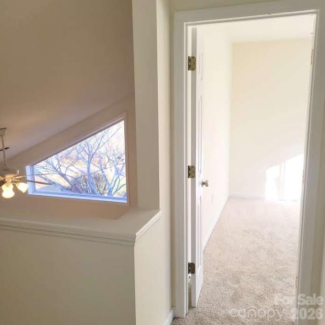 35 Cotton Creek Circle — Black Mountain