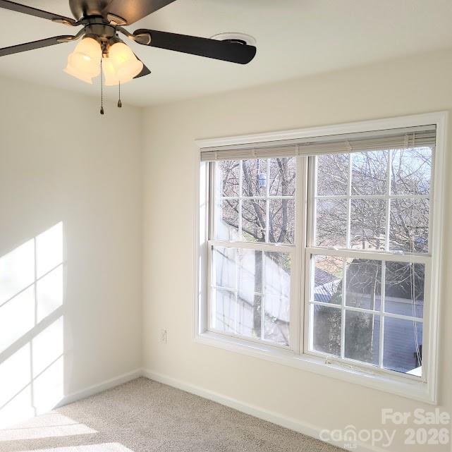 35 Cotton Creek Circle — Black Mountain