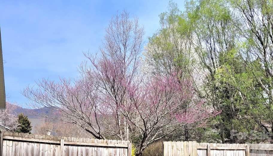 35 Cotton Creek Circle — Black Mountain