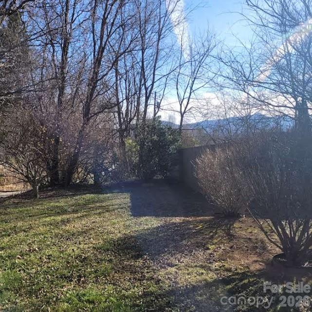 35 Cotton Creek Circle — Black Mountain