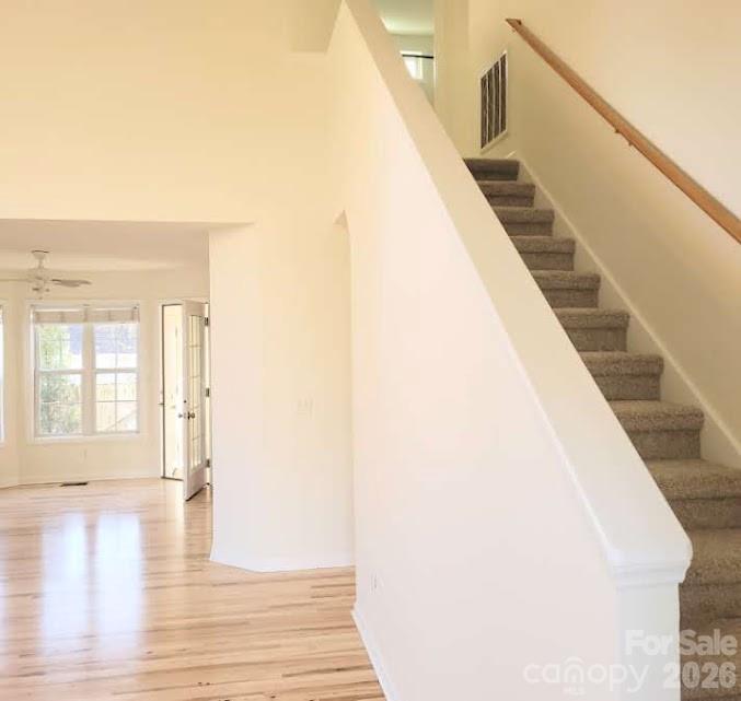 35 Cotton Creek Circle — Black Mountain