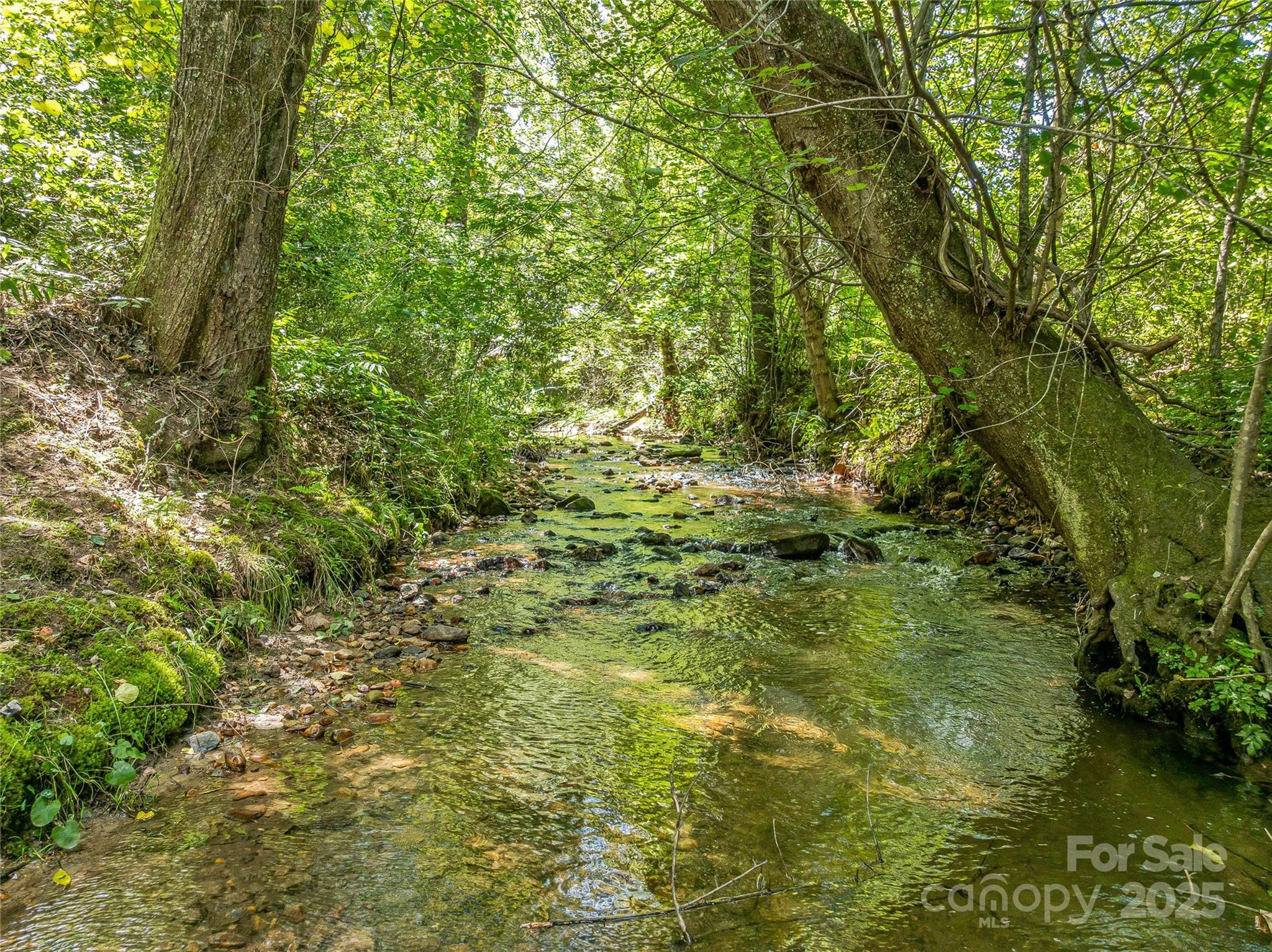 644 Walnut Valley Parkway — Arden