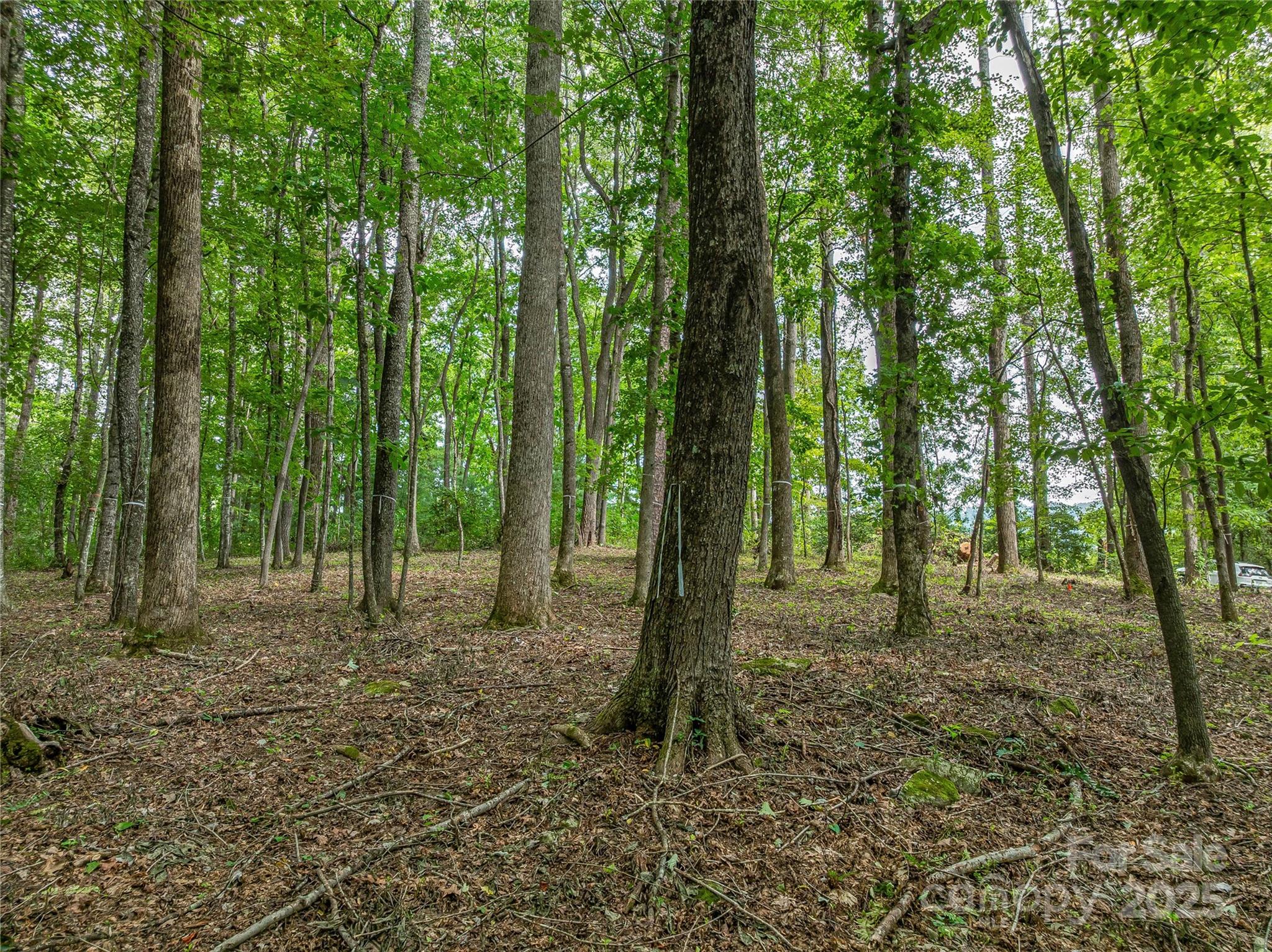 644 Walnut Valley Parkway — Arden