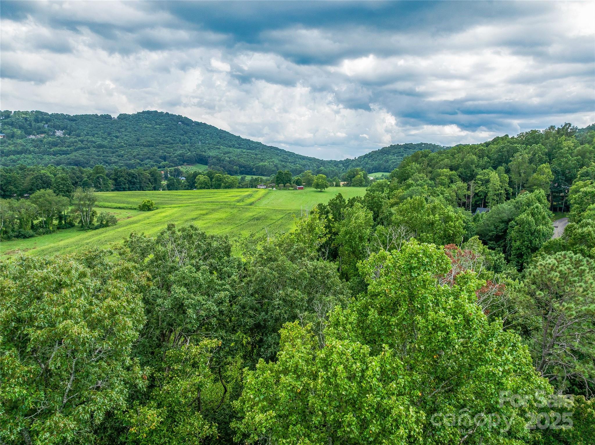 644 Walnut Valley Parkway — Arden