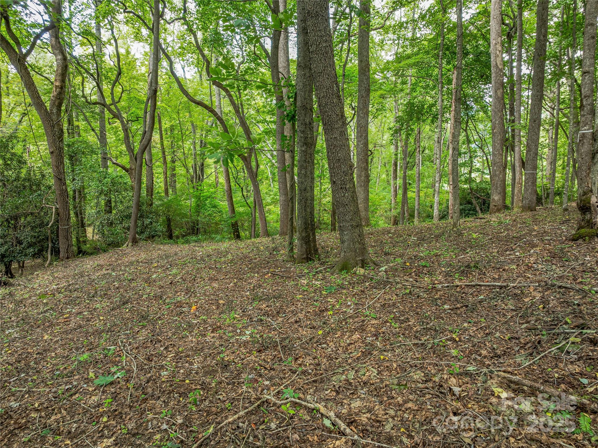644 Walnut Valley Parkway — Arden