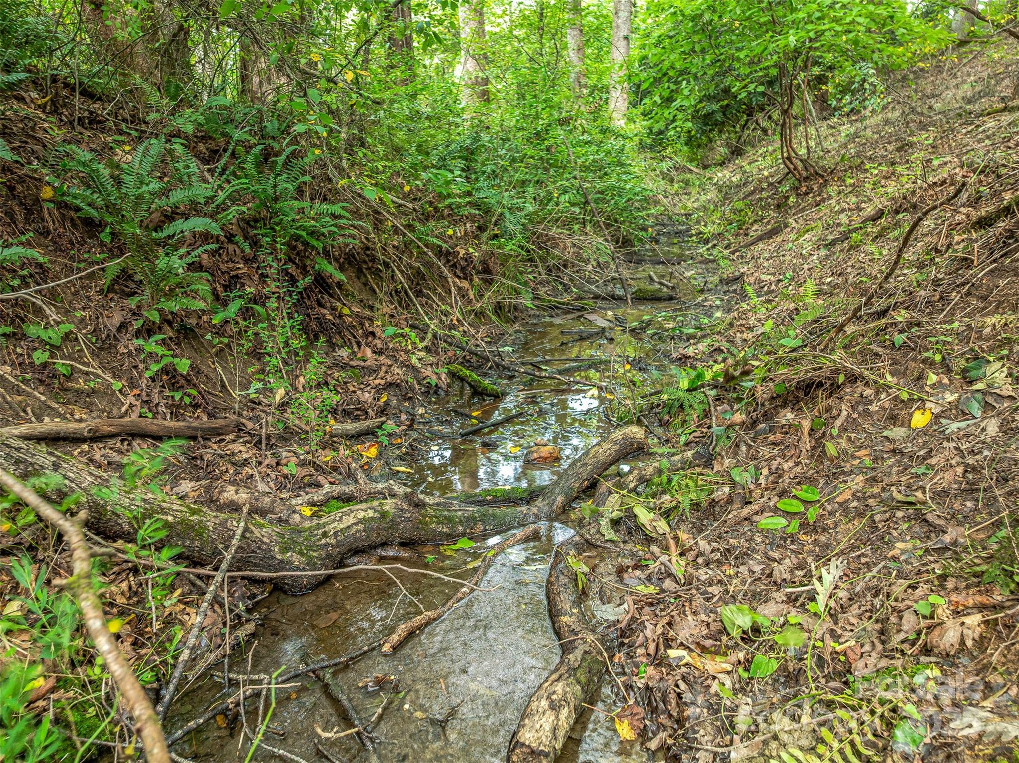 644 Walnut Valley Parkway — Arden